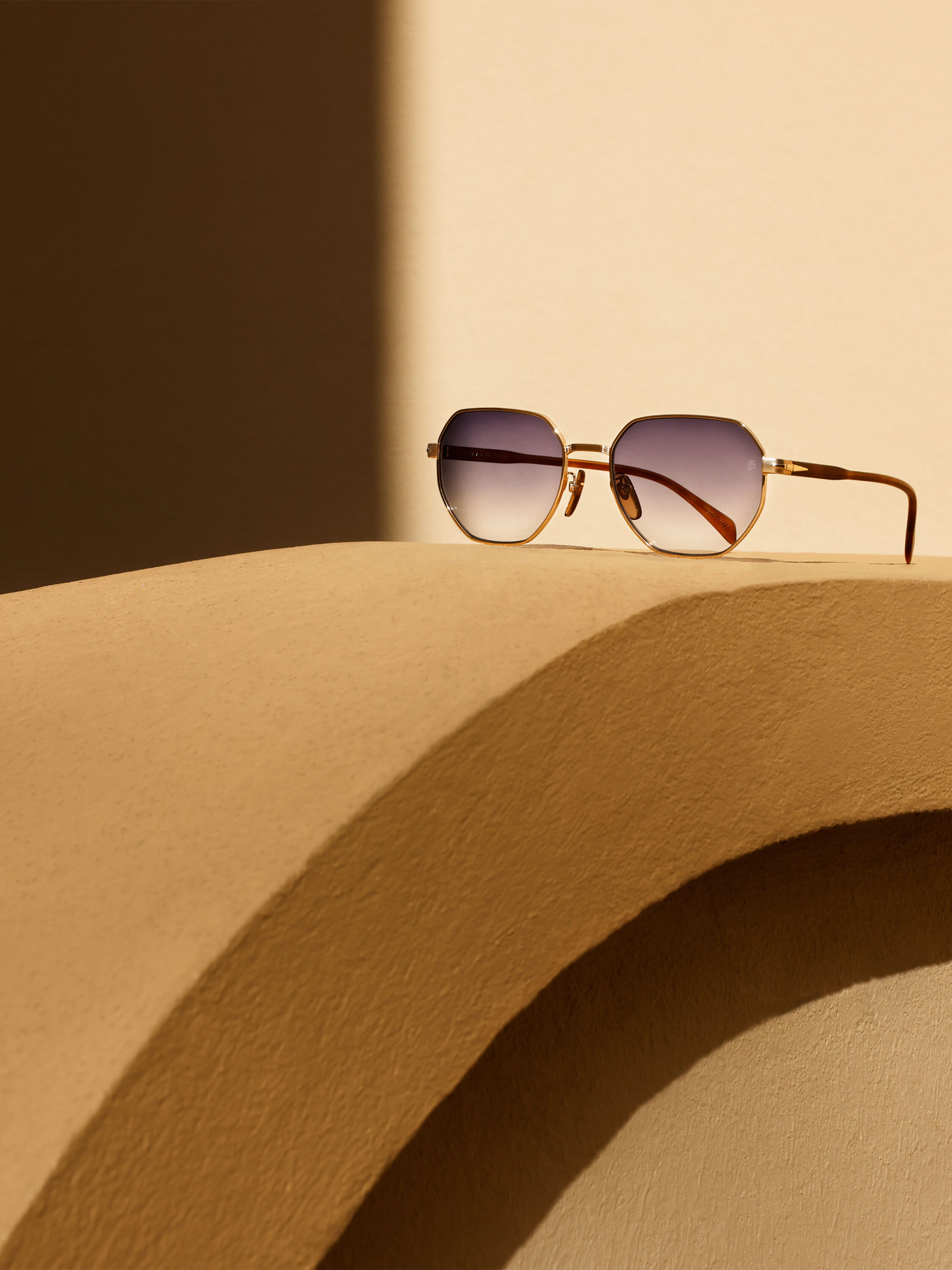 WREN-RobertoBadinDBeckhamEyewear5250