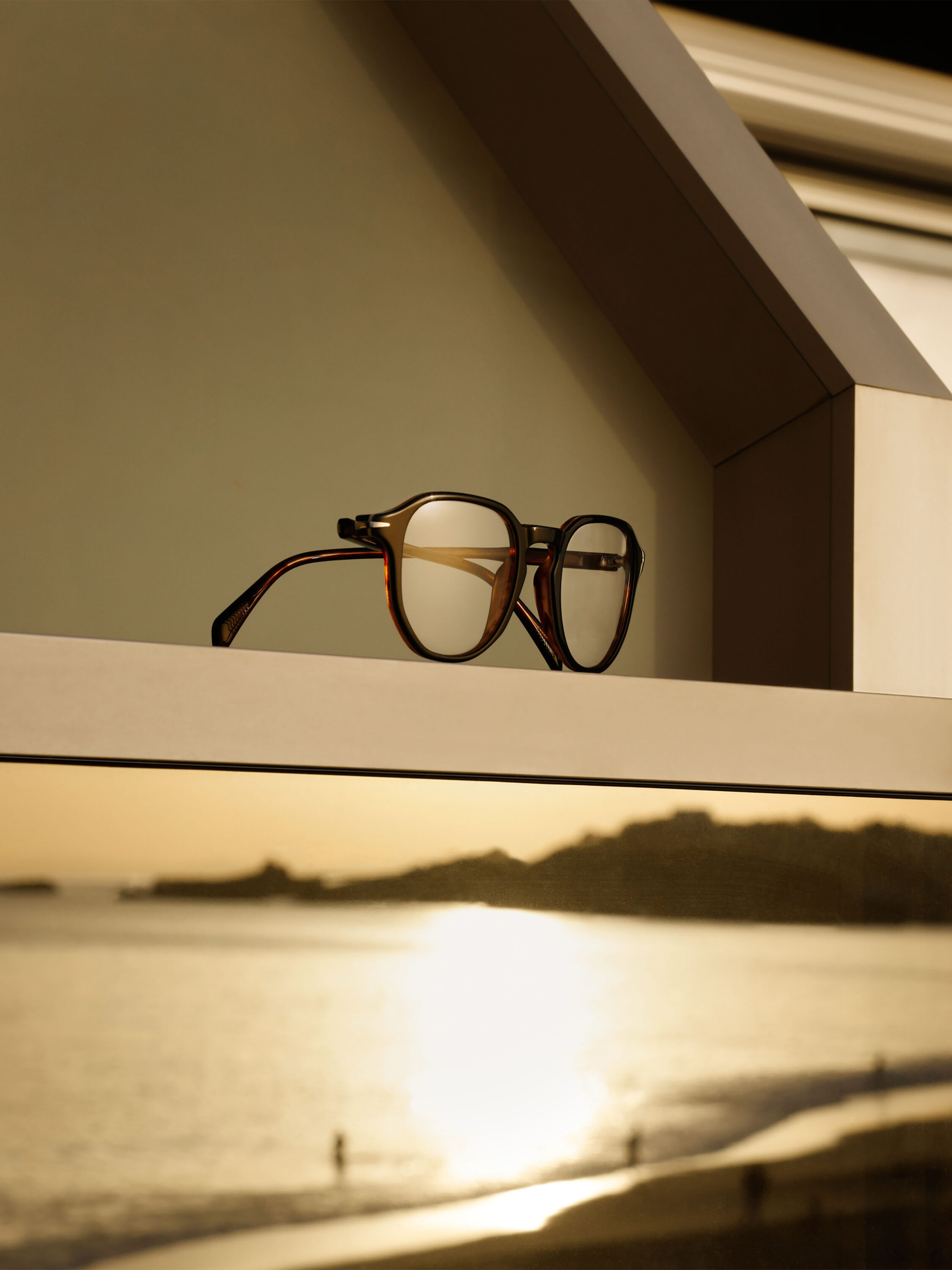 WREN-RobertoBadinDBeckhamEyewear5668