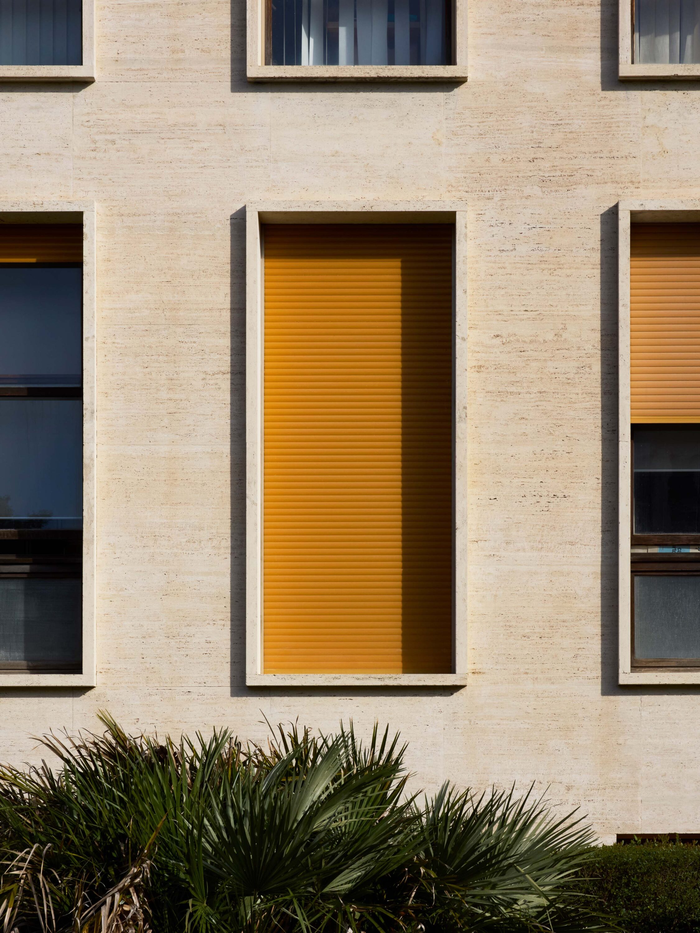 WREN-RobertoBadinRome2573