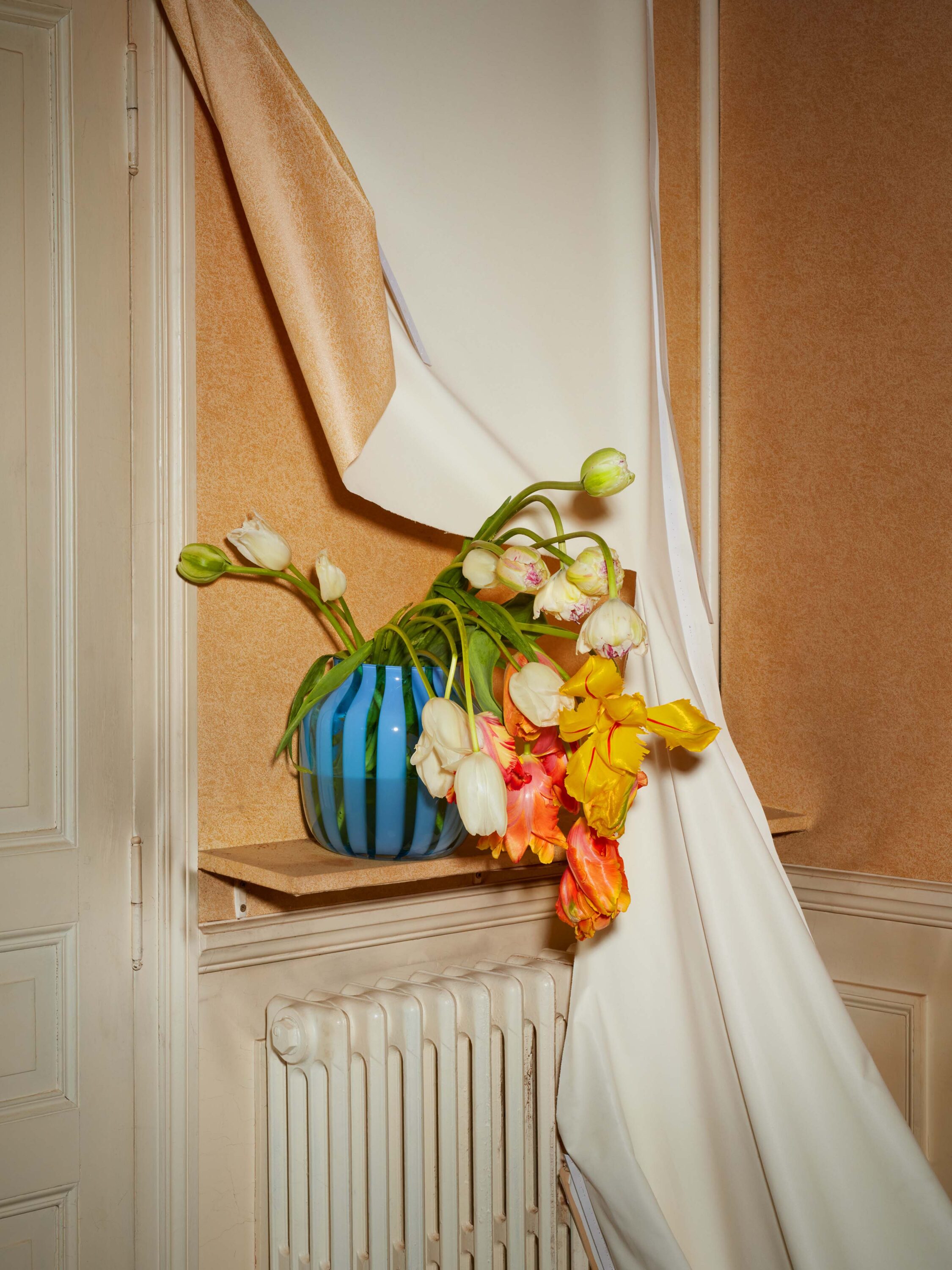 WREN-RobertoBadin_DuelMaison2