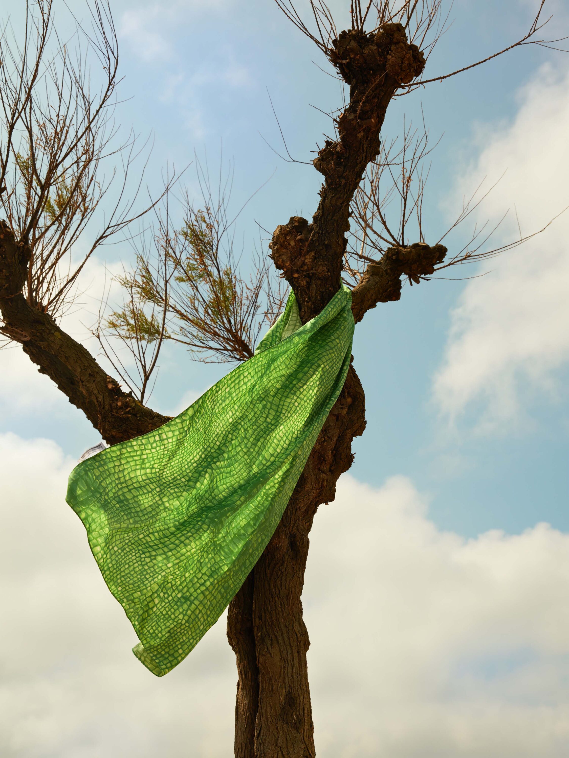 WREN-RobertoBadin_Duel_BTZ_08