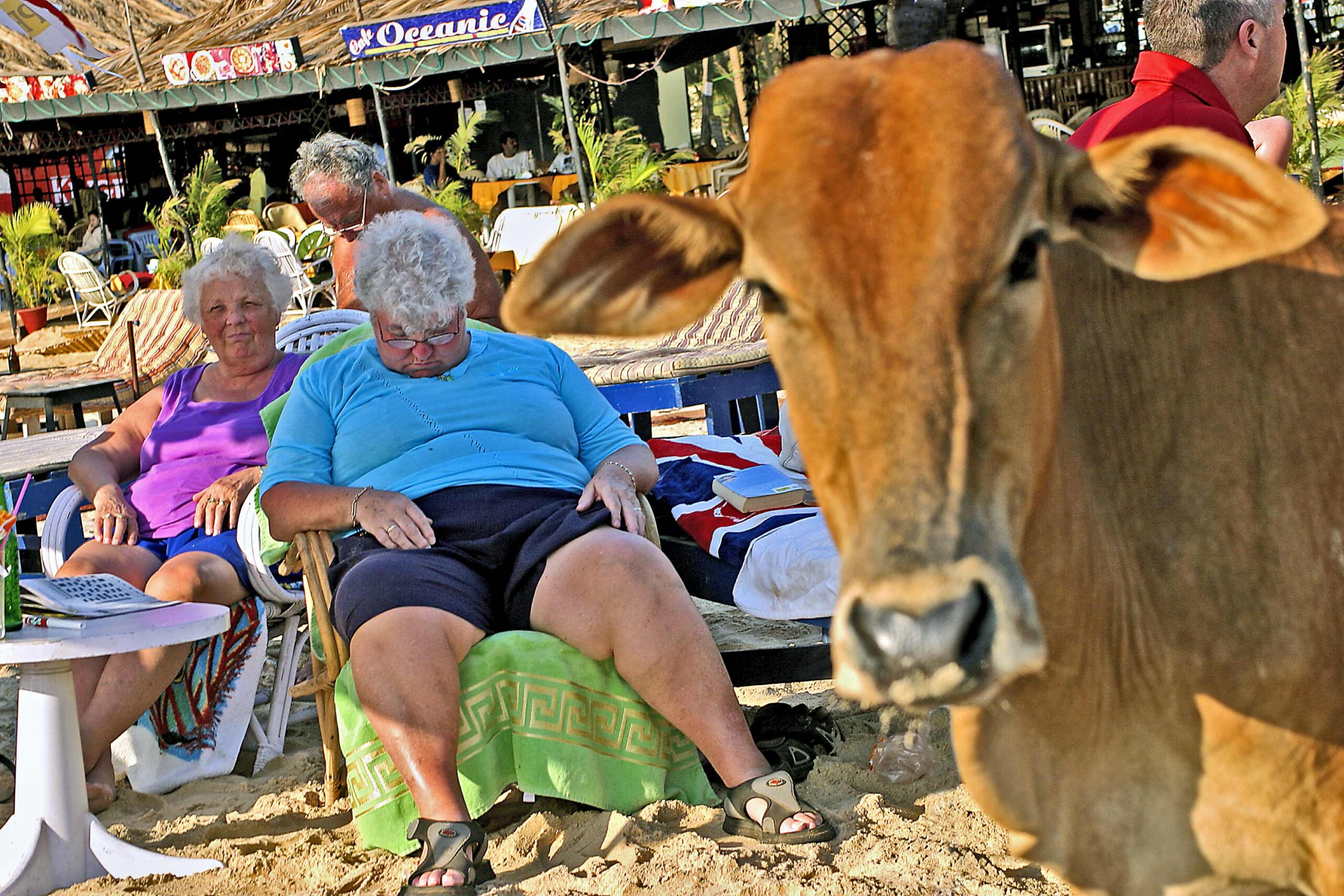 WREN-DougieWallace-011india