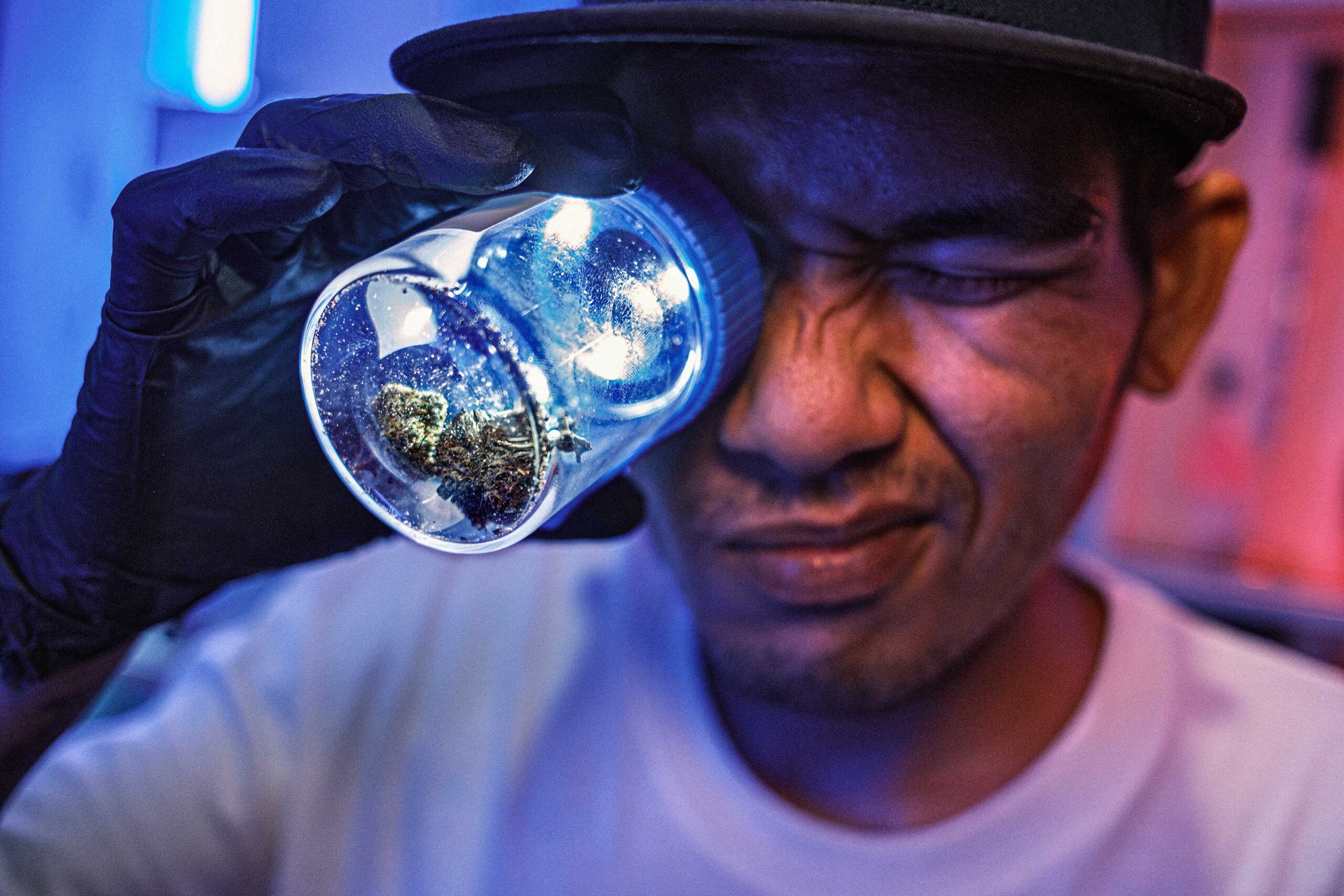 WREN-DougieWallace-THAILAND_2024-6901