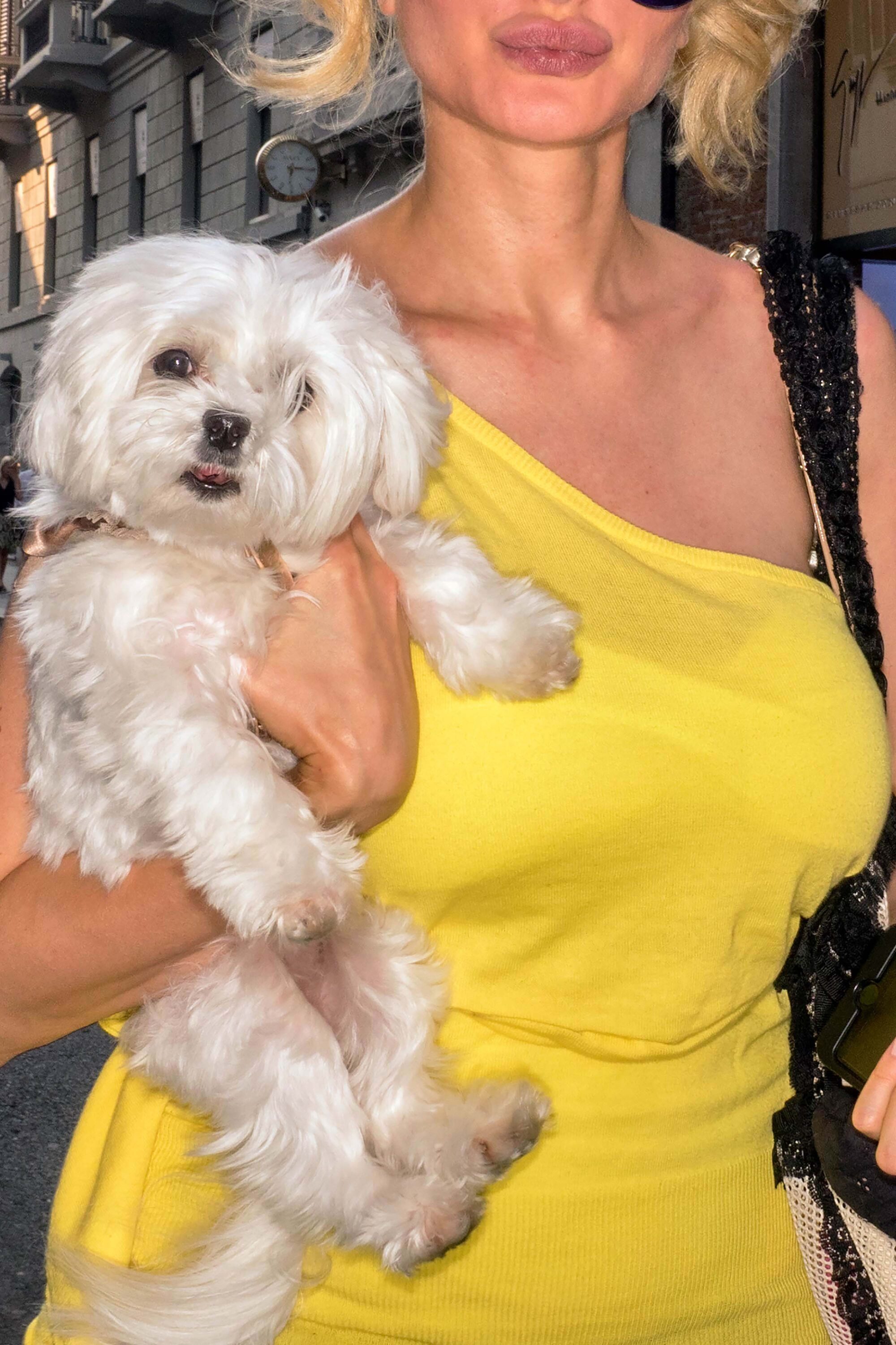 WREN-DougieWallace-Well-Heeled-6062746-b