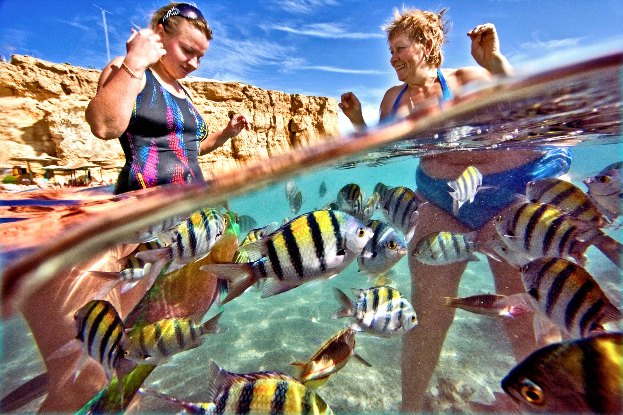 WREN-DougieWallace-fish_babushka