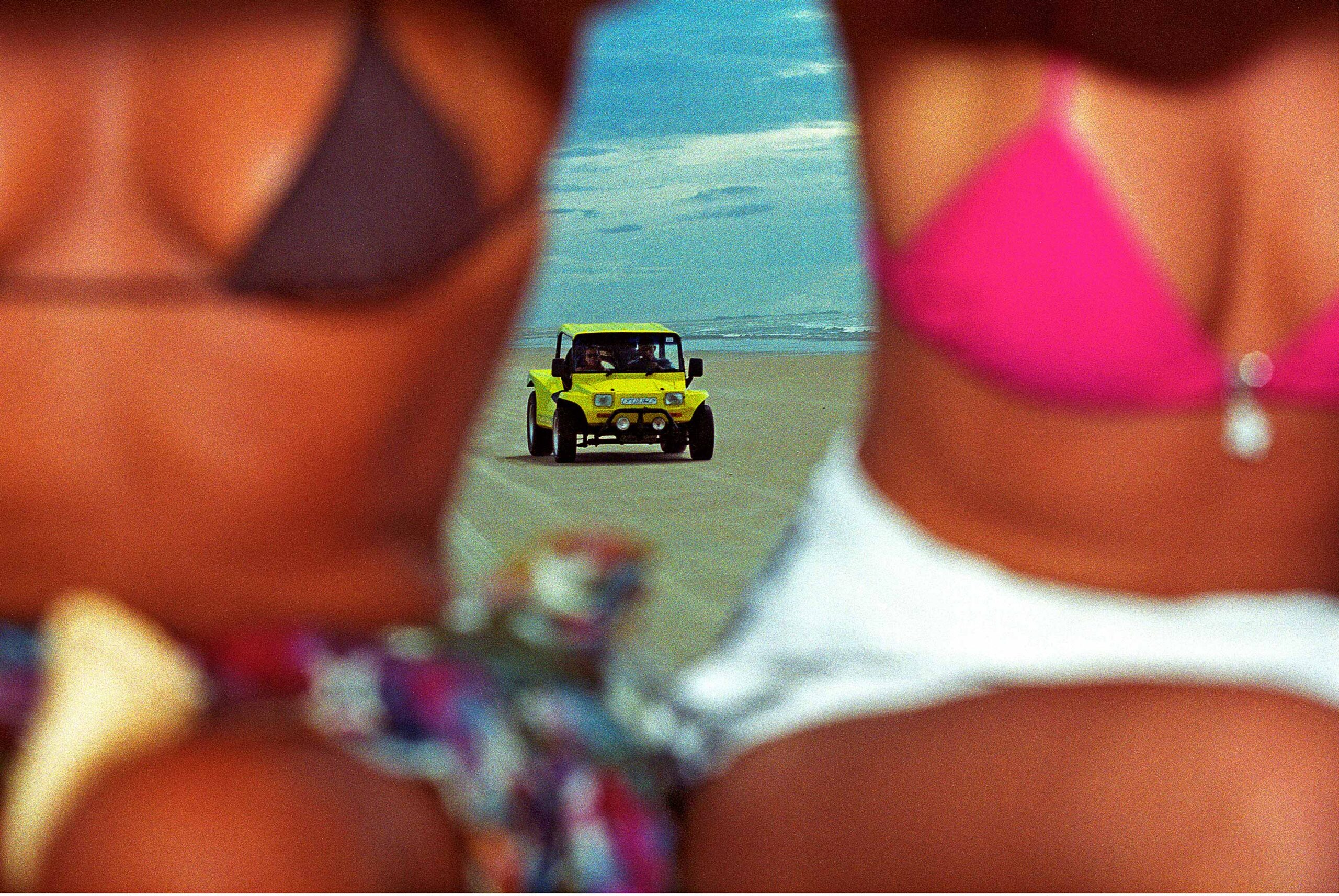 WREN-DougieWallace-tits