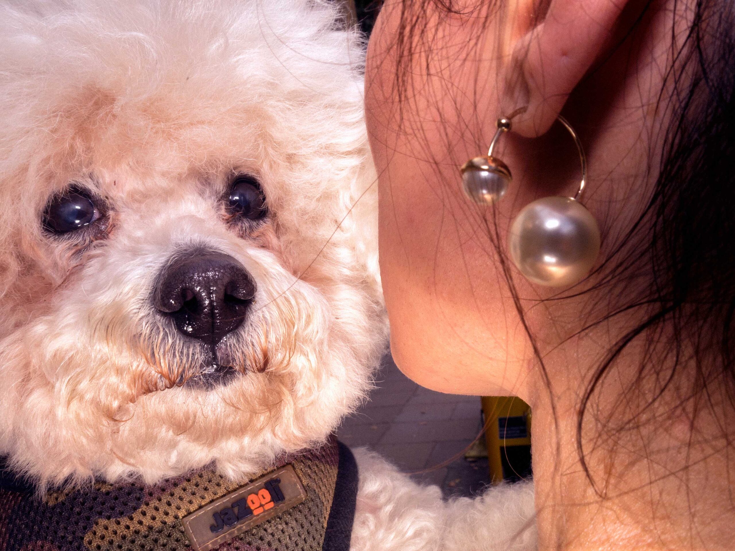 WREN-DougieWallace-well heeled-30602