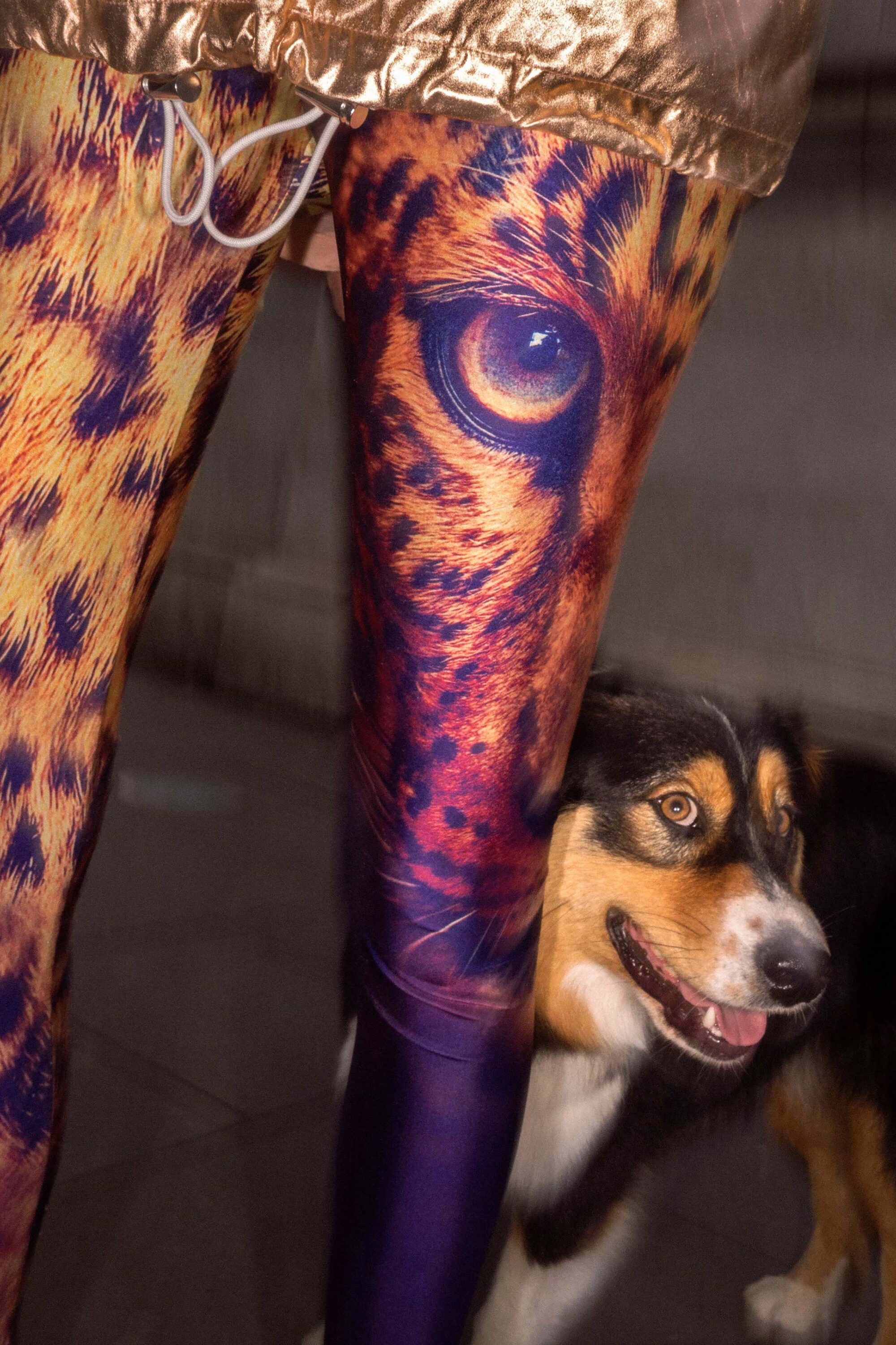 WREN-DougieWallace-well-heeled-35878-b