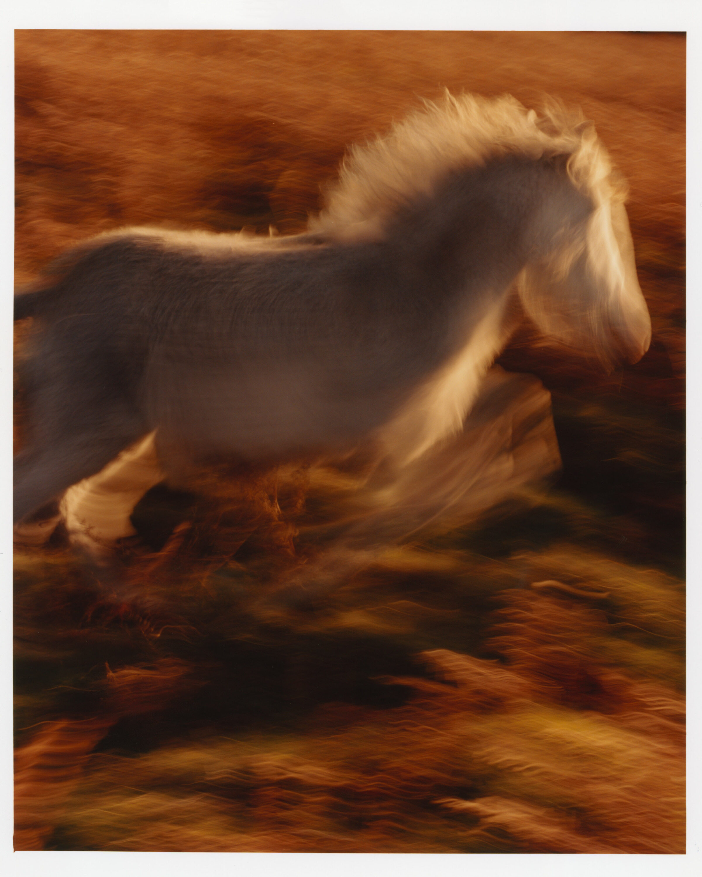 WREN-LukeEvans-NOVEMBER_21