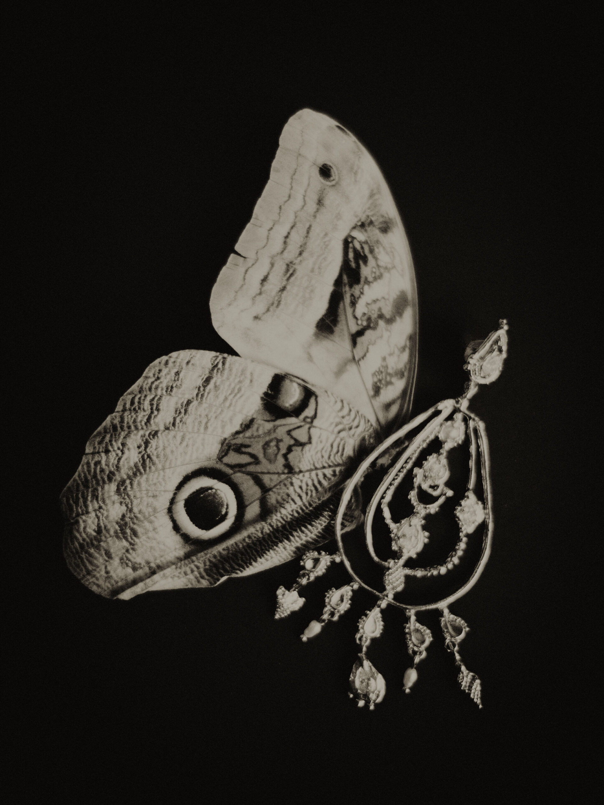 wrenagency-jonereed-latestwork-stilllife-6