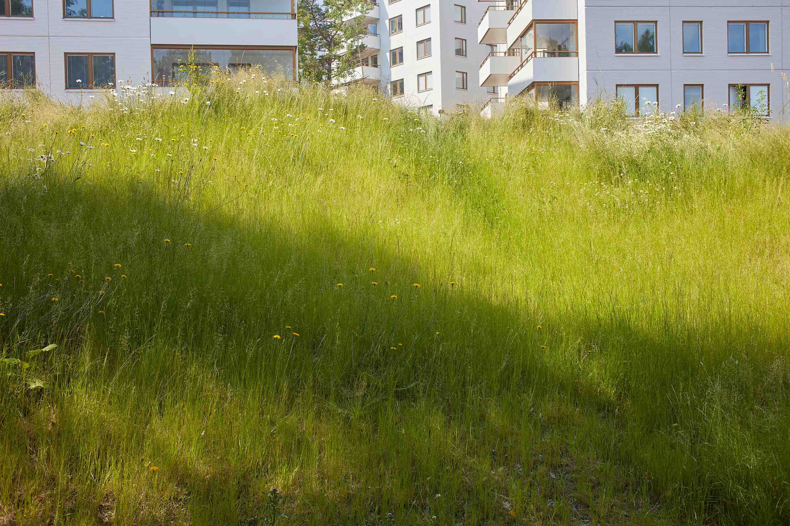 wrenagency-lukestephenson-11endings-1B4A9878