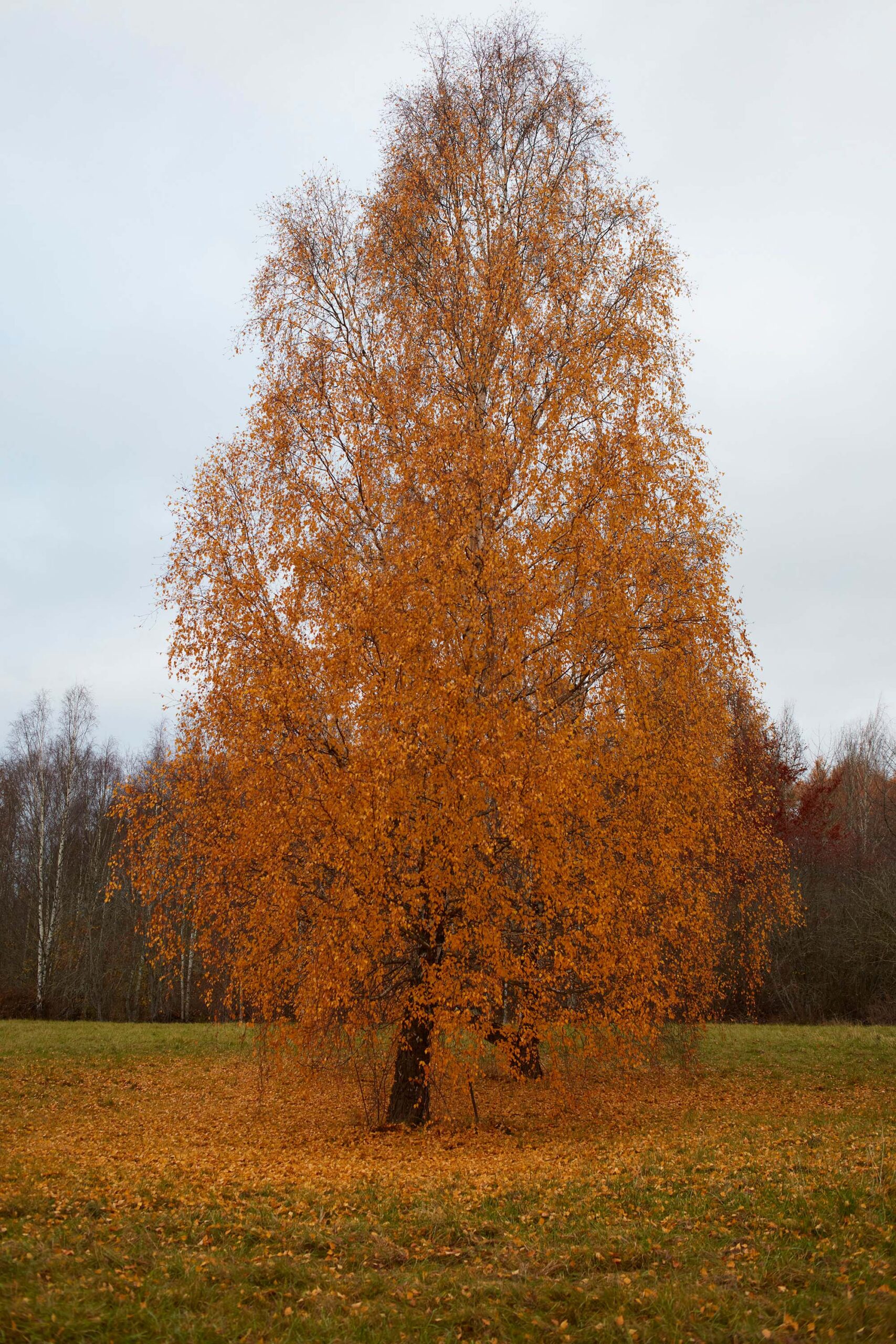 wrenagency-lukestephenson-11endings-_B4A2452