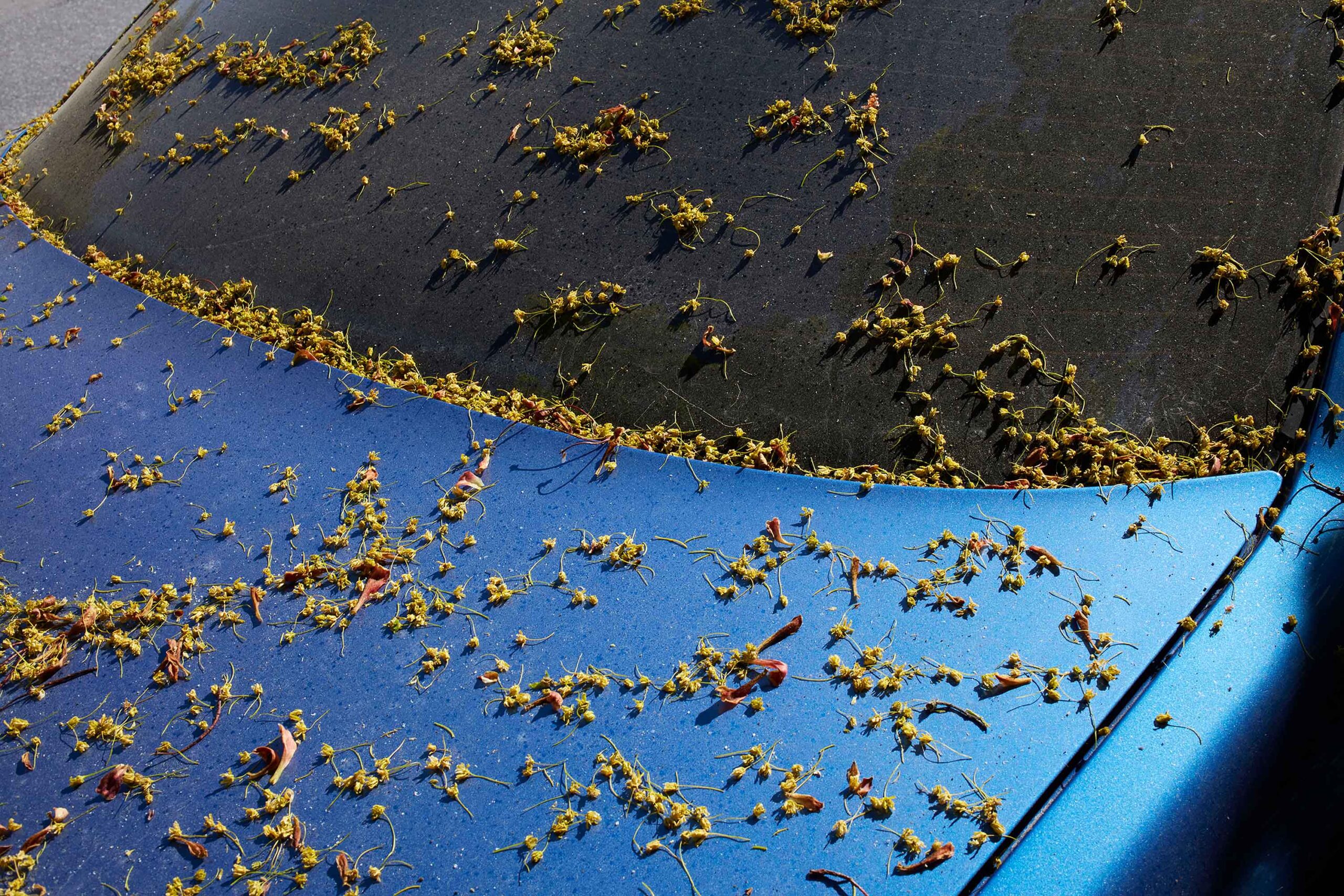 wrenagency-lukestephenson-11endings_B4A0654