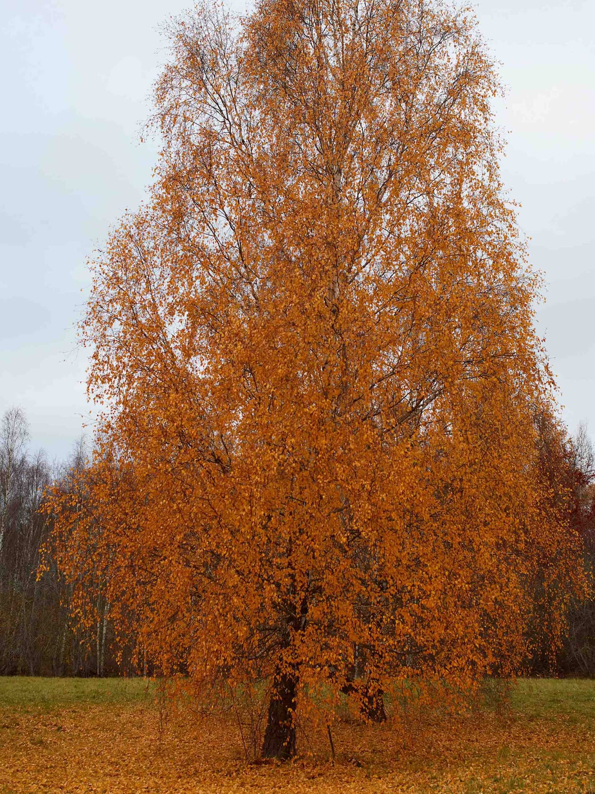 wrenagency-lukestephenson-11endingsofstockholm-1