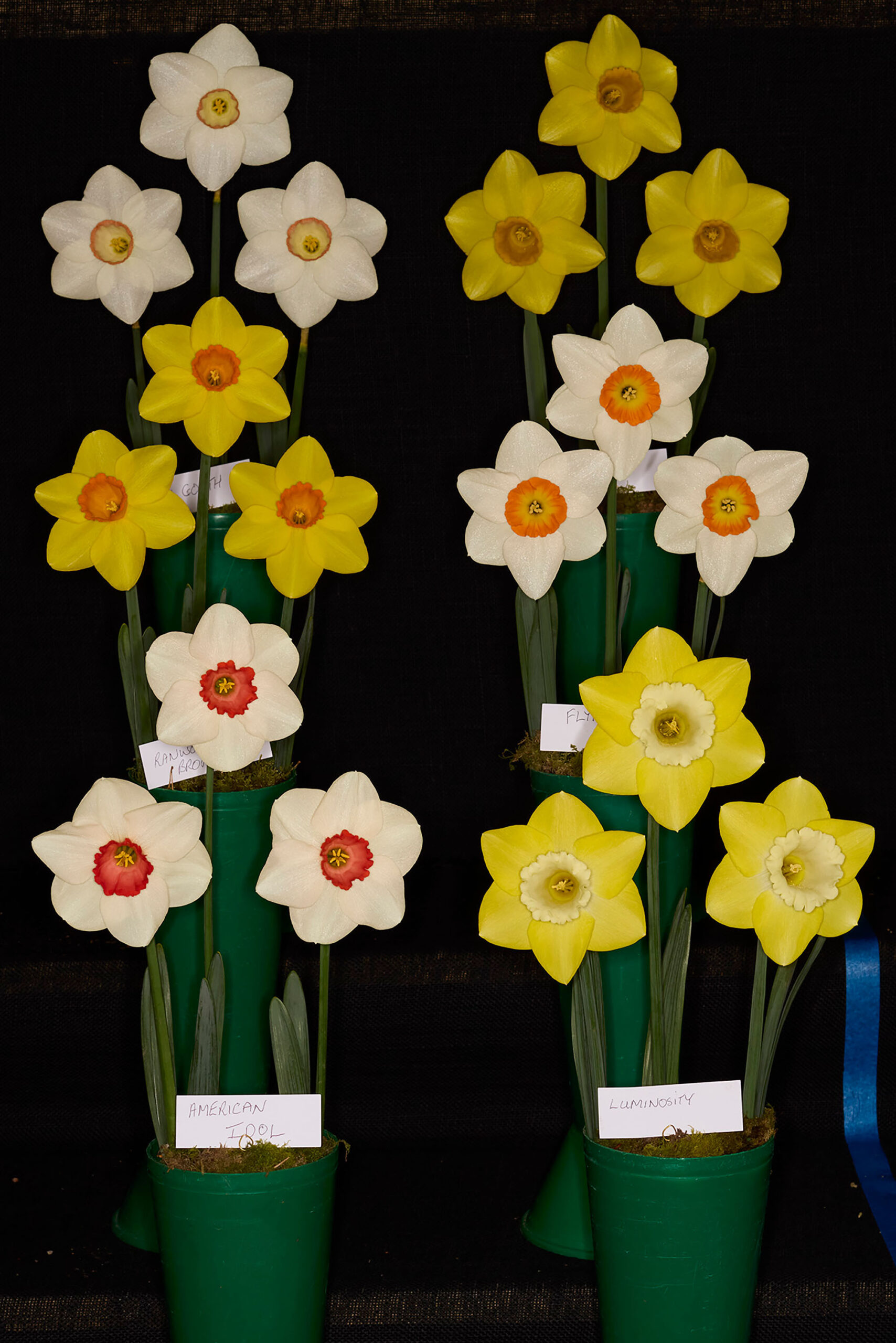 wrenagency-lukestephenson-pleasantplace_1