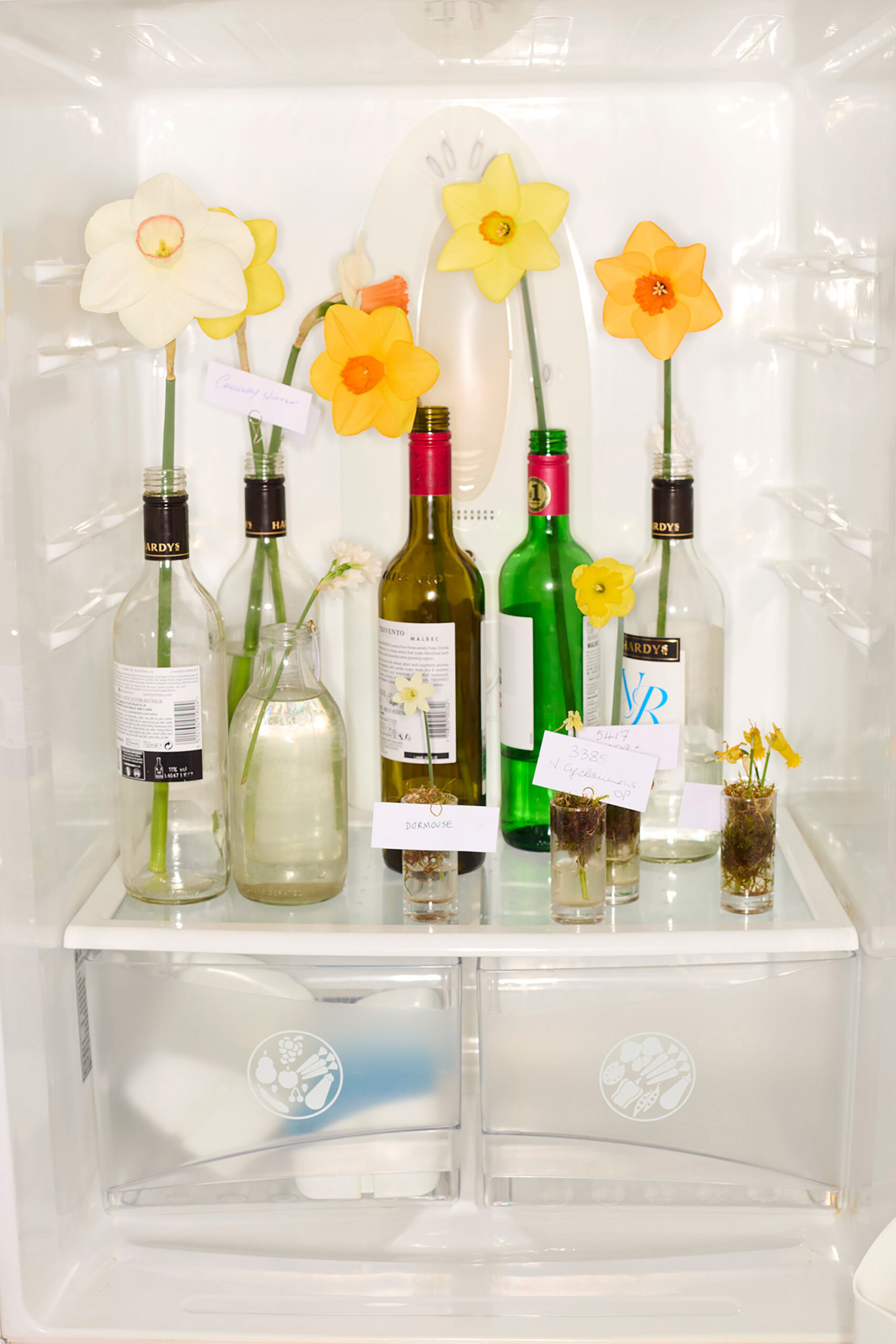 wrenagency-lukestephenson-pleasantplace_3