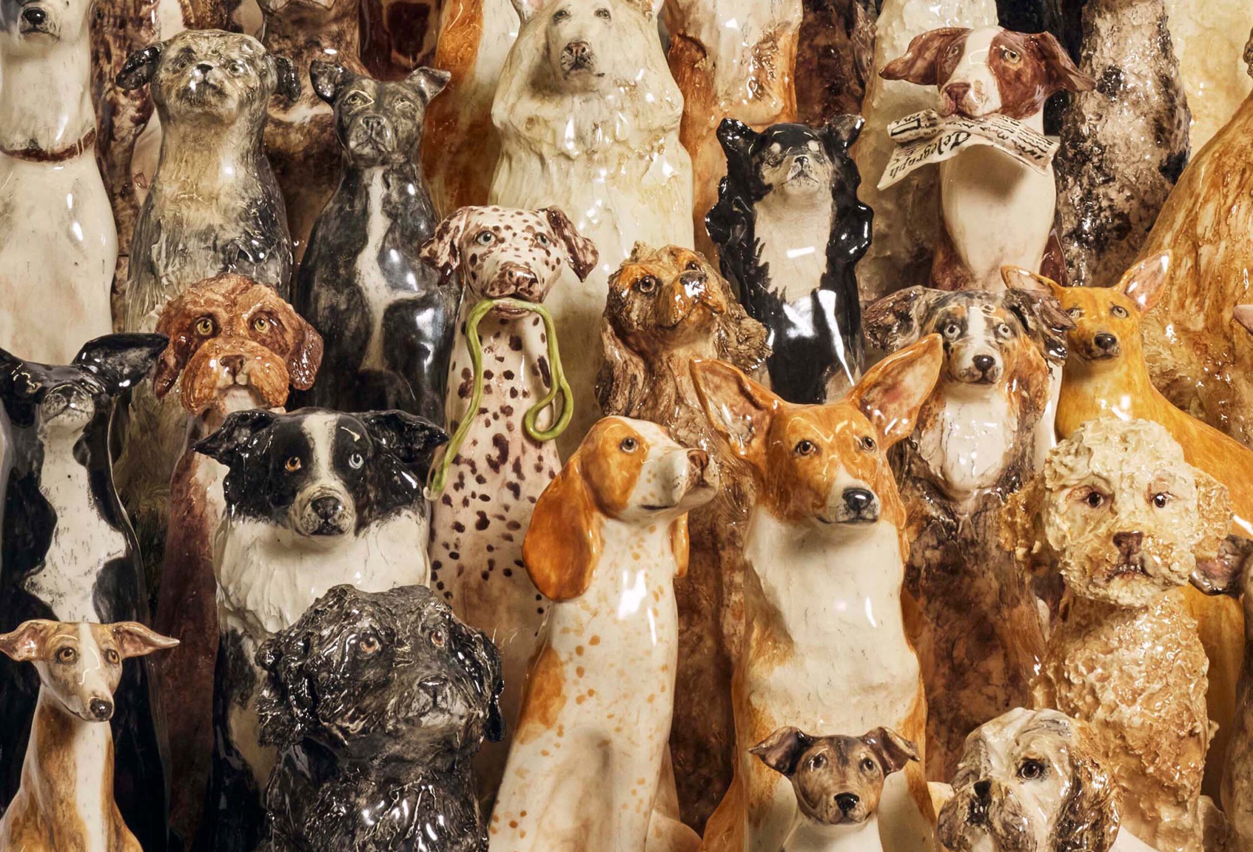 wrenagency-lukestephenson-telegraph-toomanydogs-TILTLE IMAGE1