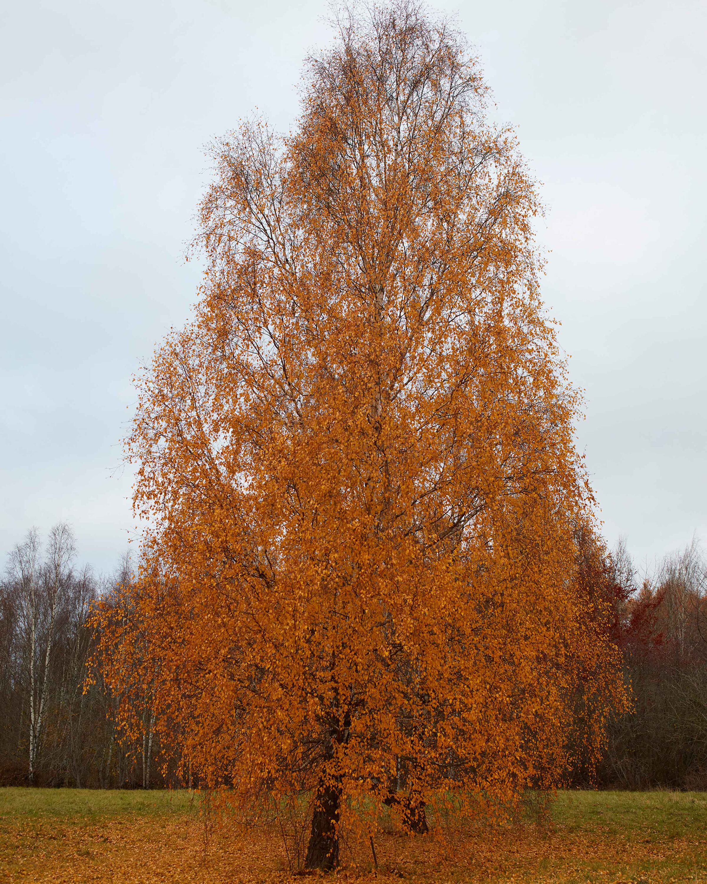 wrenagency_lukestephenson_11endings__B4A2452