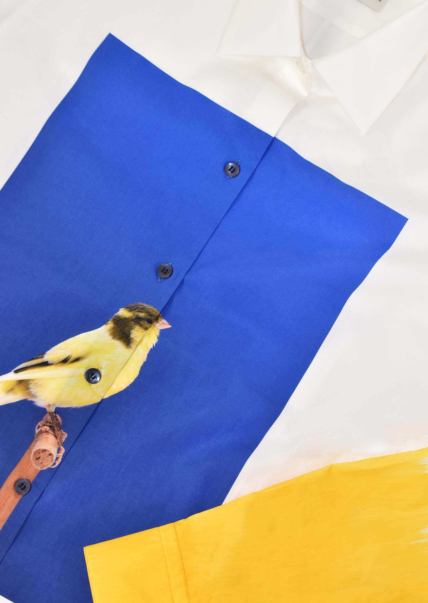 wrenagency_lukestephenson_190403_DVN_Portrait3