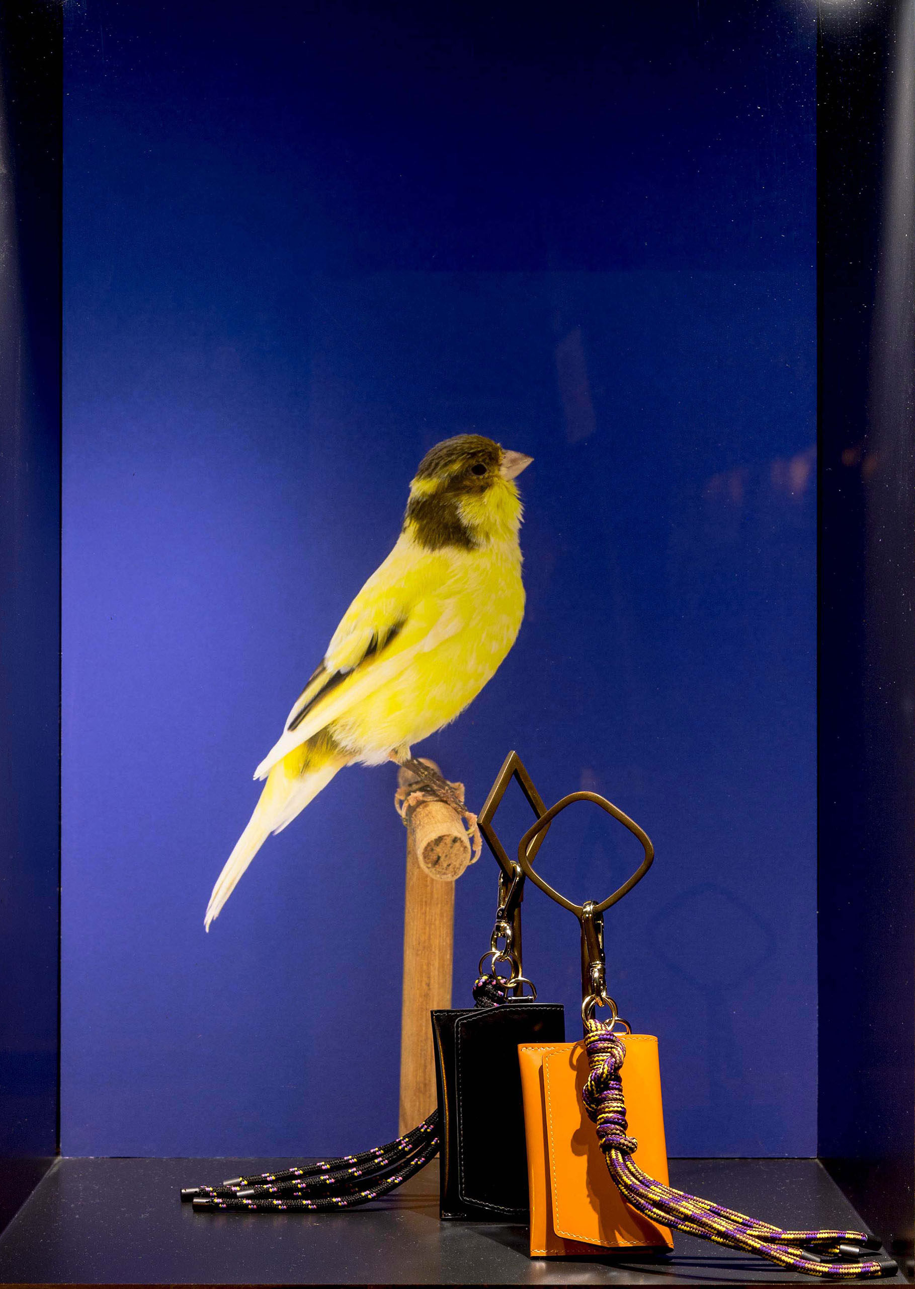 wrenagency_lukestephenson_V9A0476