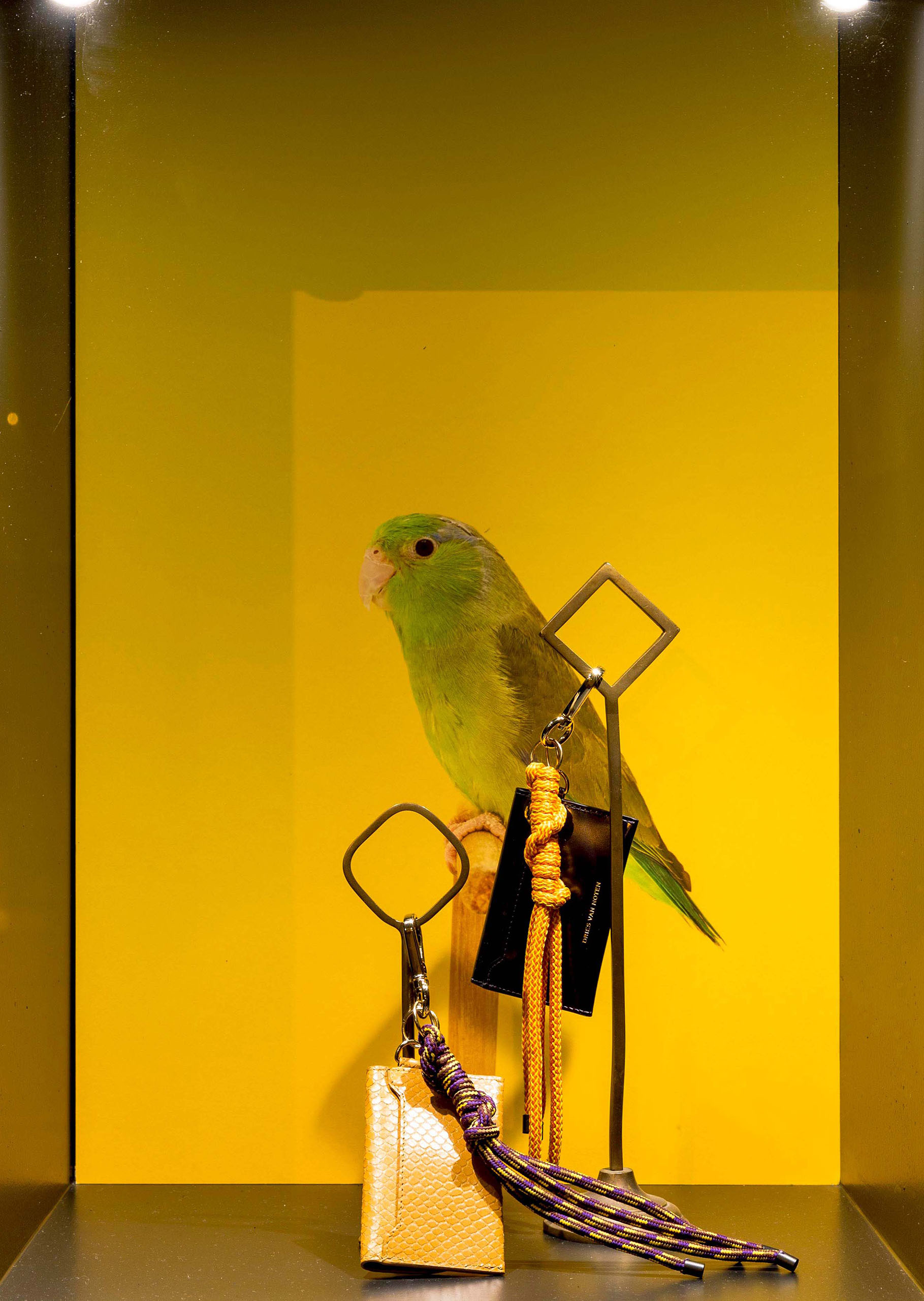 wrenagency_lukestephenson_V9A0478