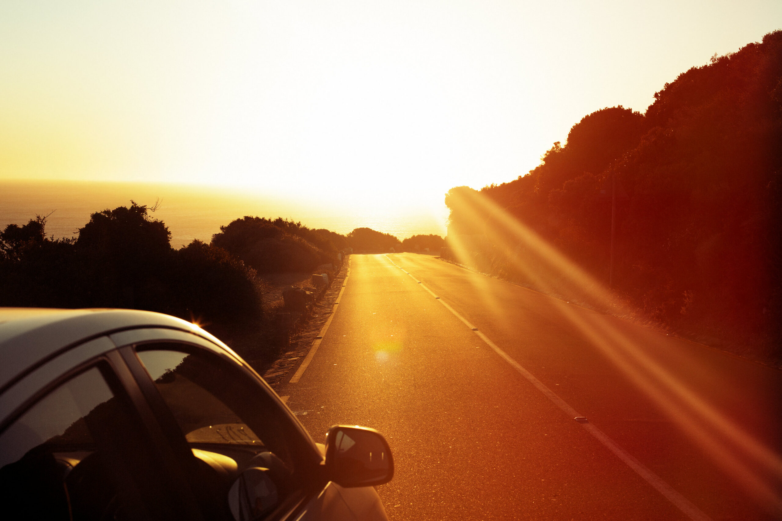 Wren Agency_Marcus Palmqvist__L8A5599