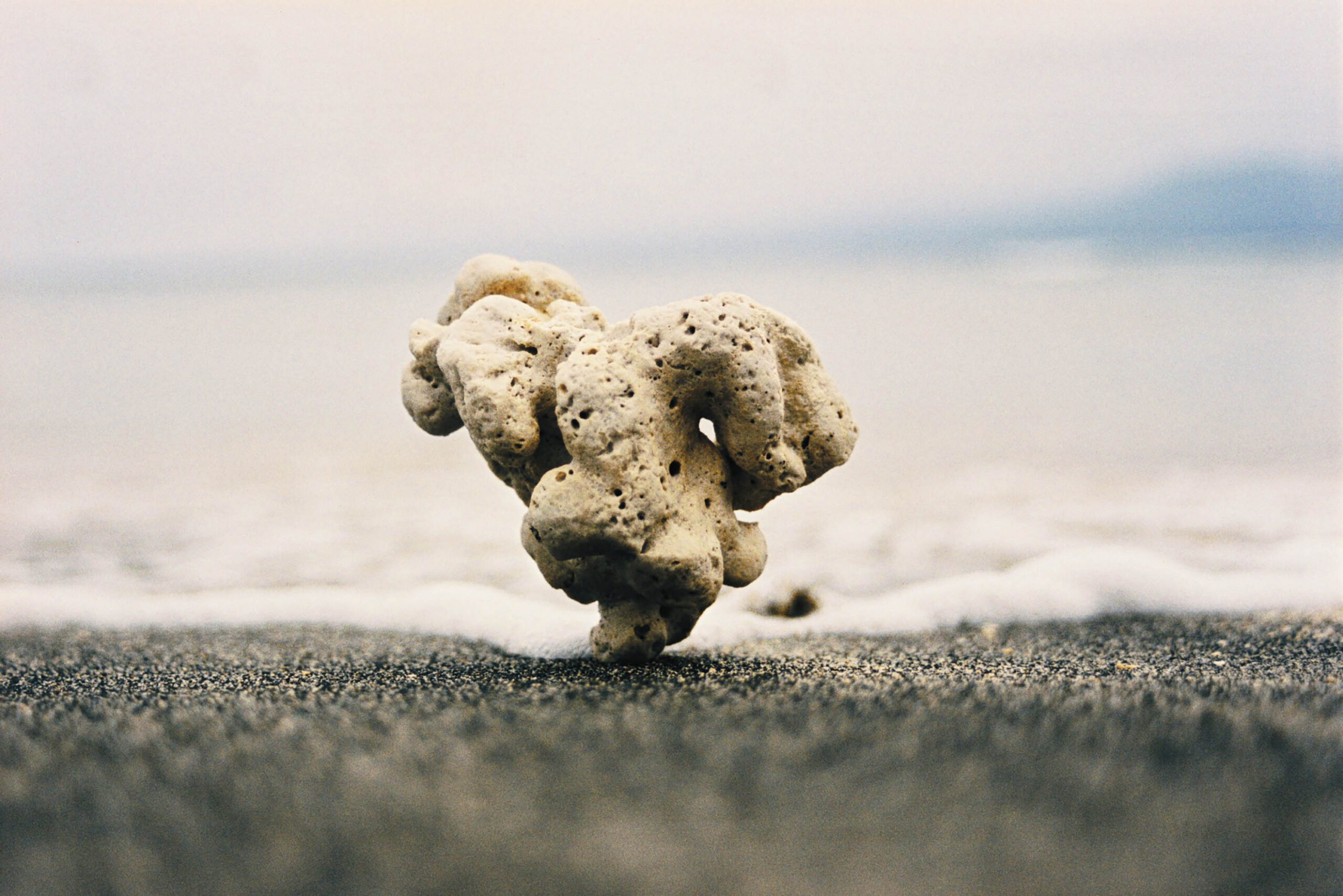 wren-archive-marcus-palmqvist-bali-17