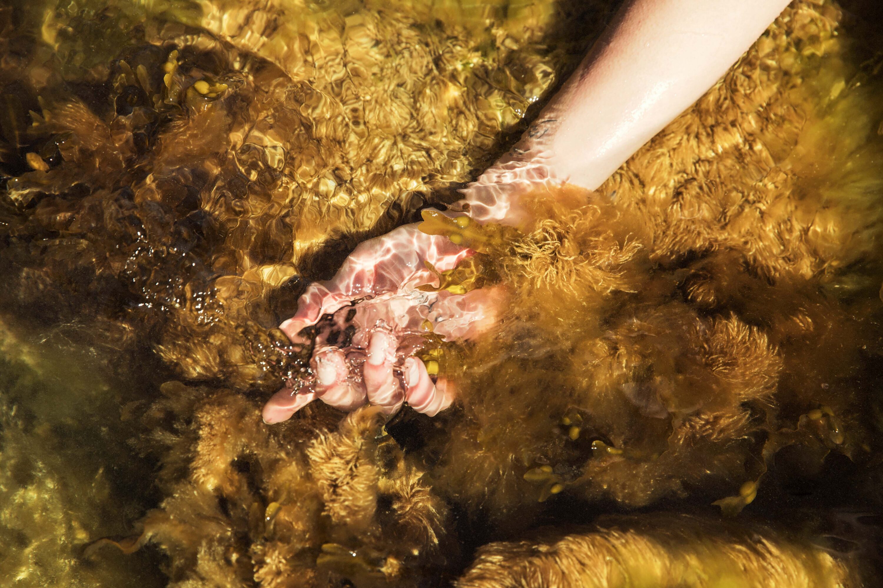 wrenagency_marcuspalmqvist_15_okolo_0104