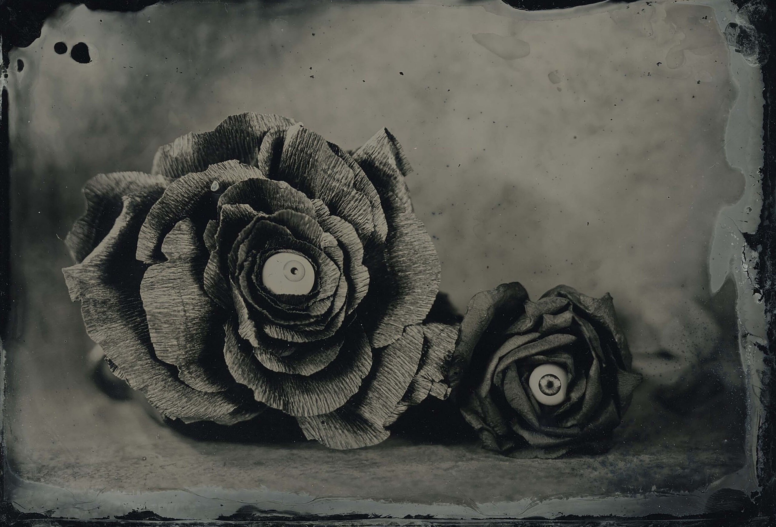 wrenagency_rachellouisebrown_eyeballsandcabbages_titleimage_2