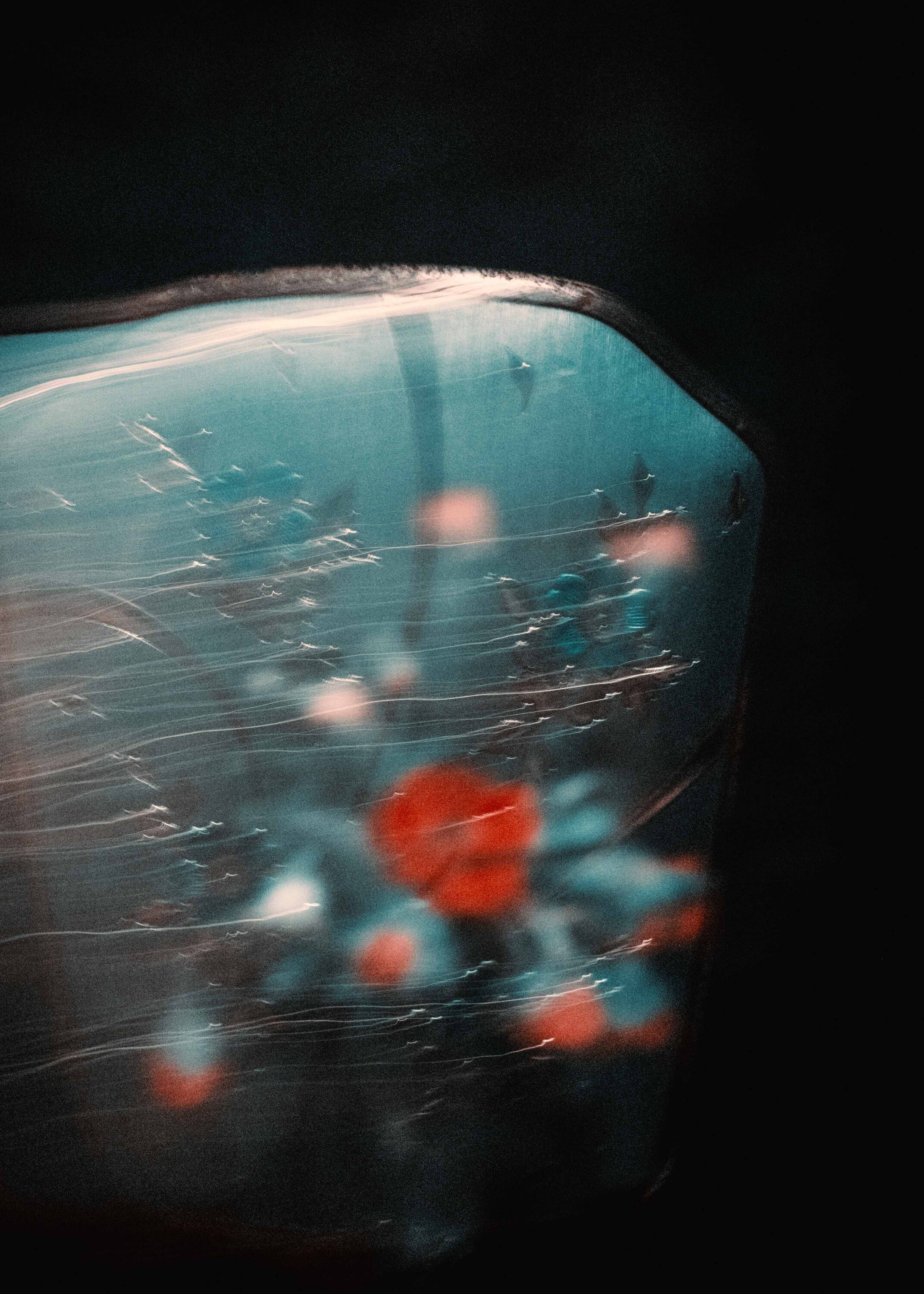 wrenagency_jonereed_DSCF2652 copy