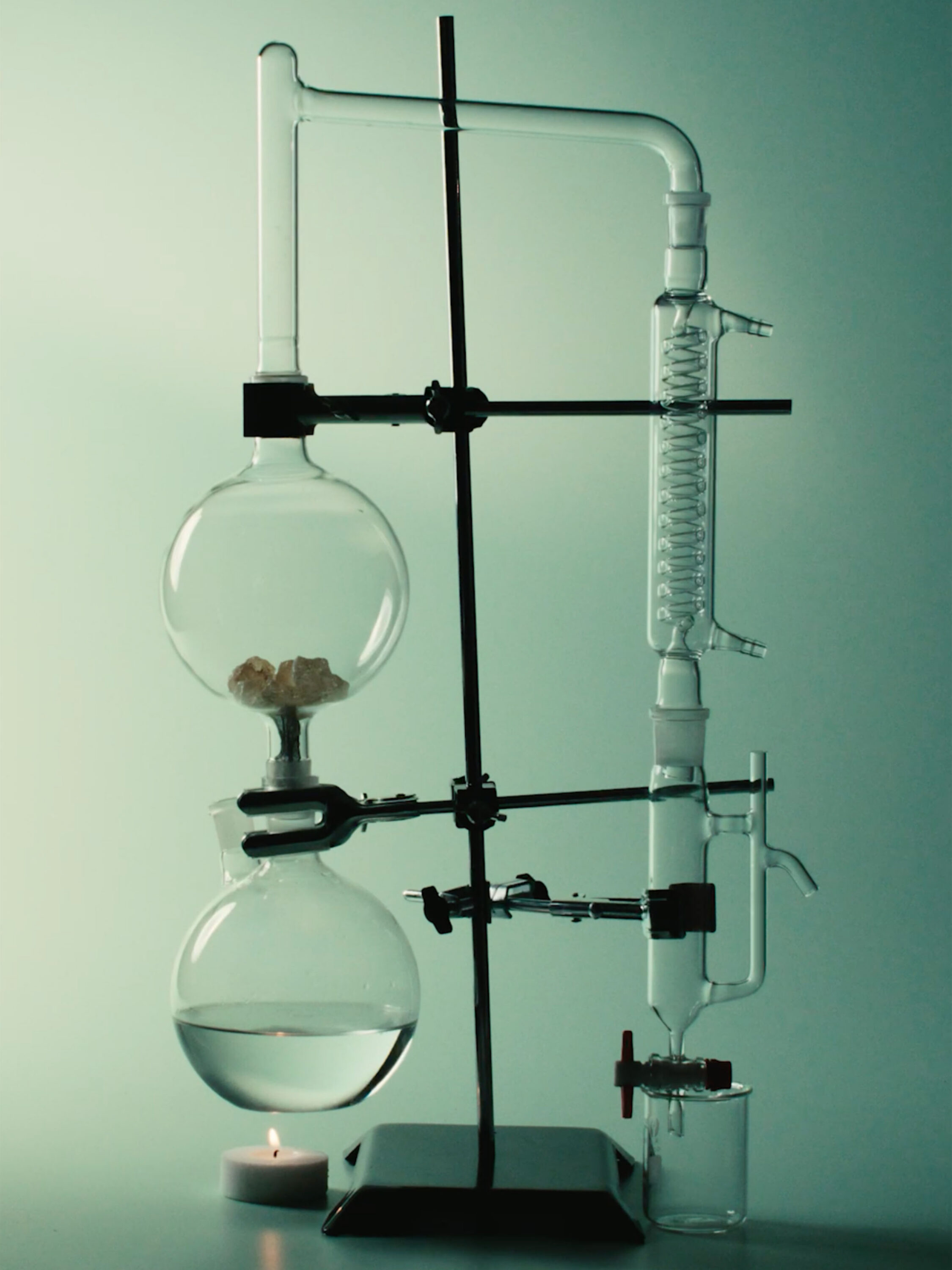 wrenagency_lukeevans_ffern_spring26_3