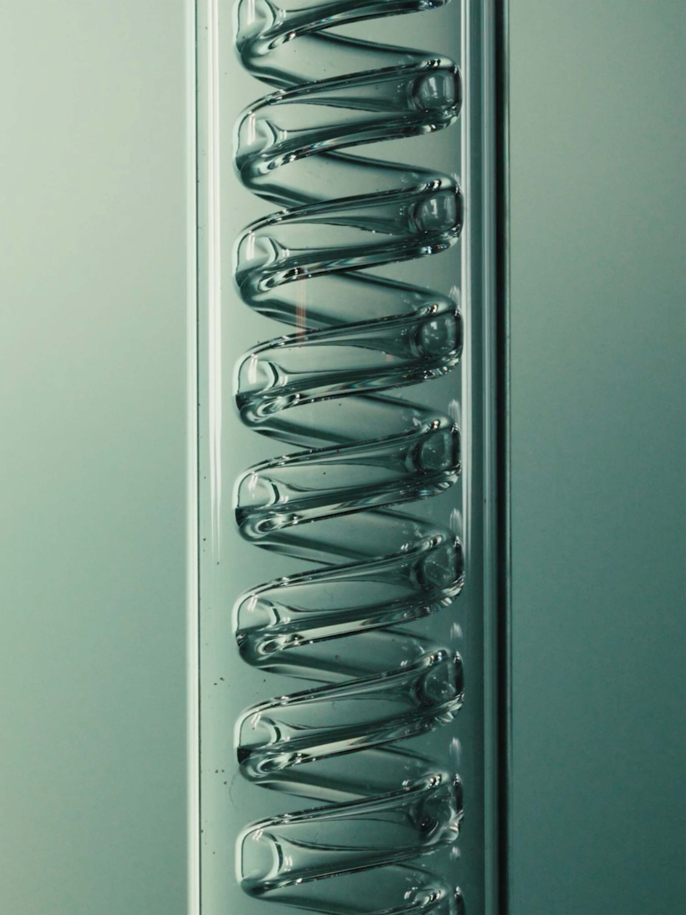 wrenagency_lukeevans_ffern_spring26_4