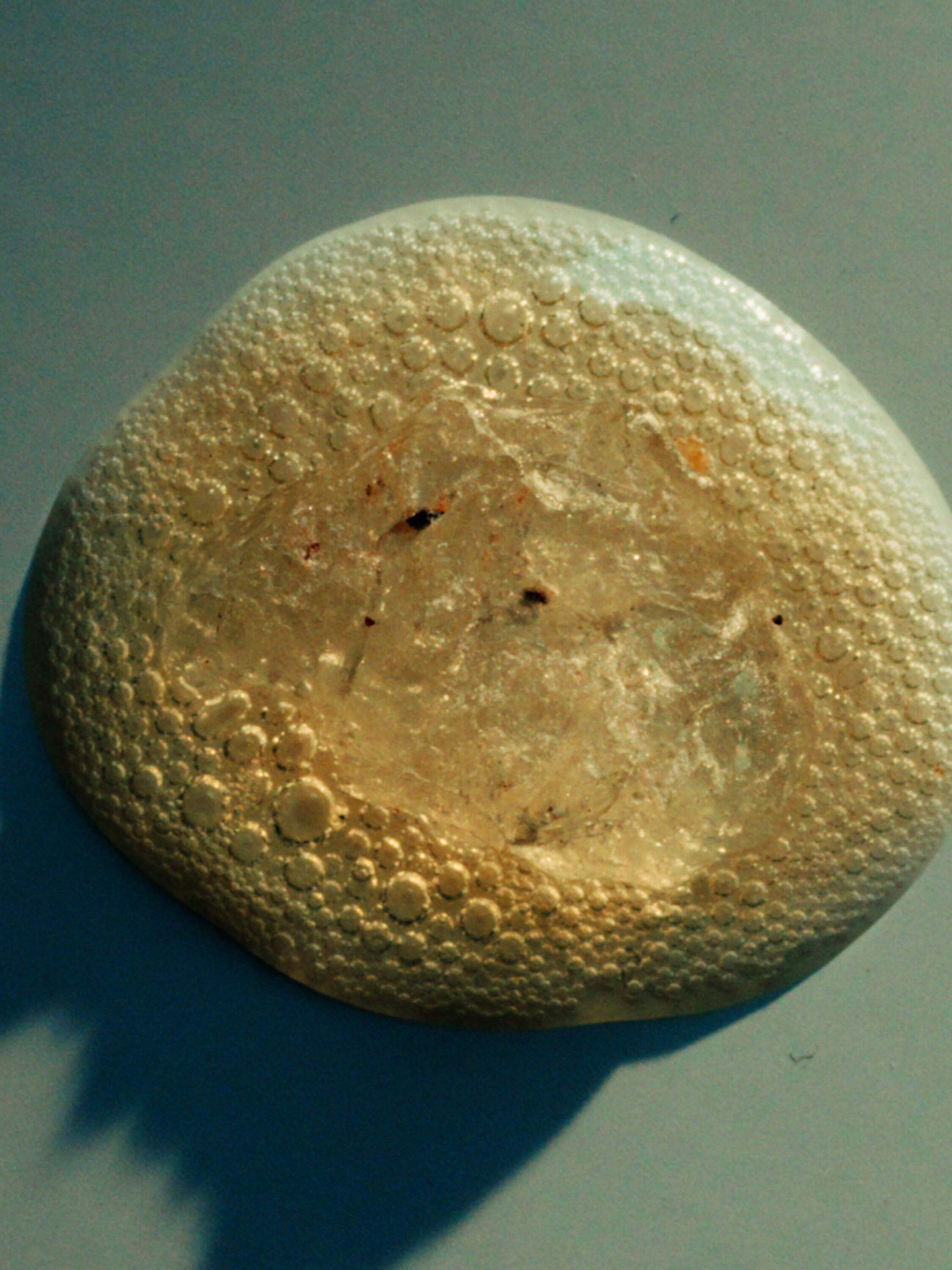 wrenagency_lukeevans_ffernspring26_Elemi Still 2