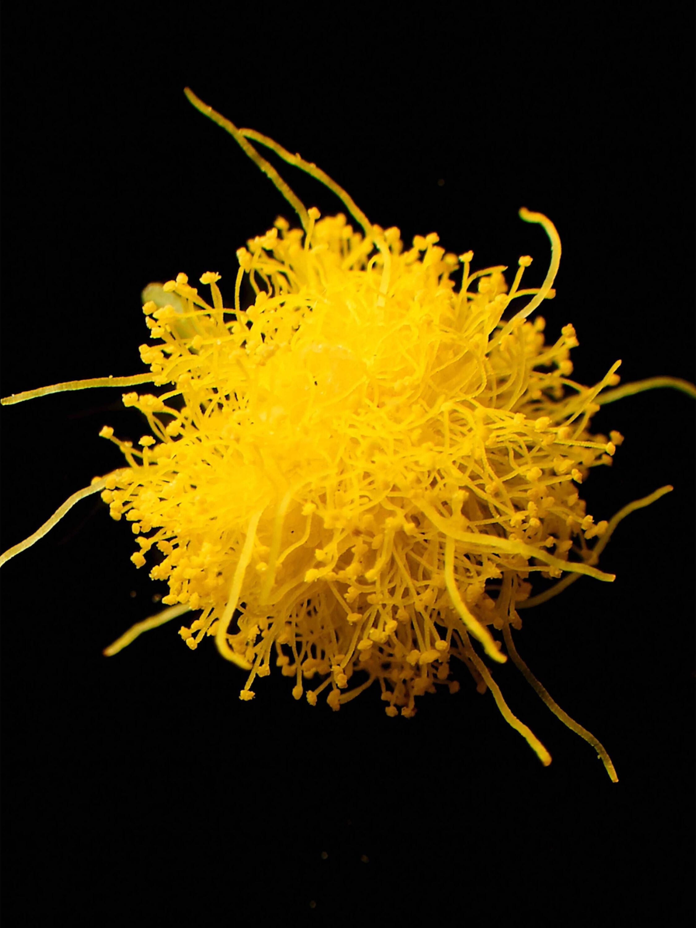 wrenagency_lukeevans_ffernwinter26_10