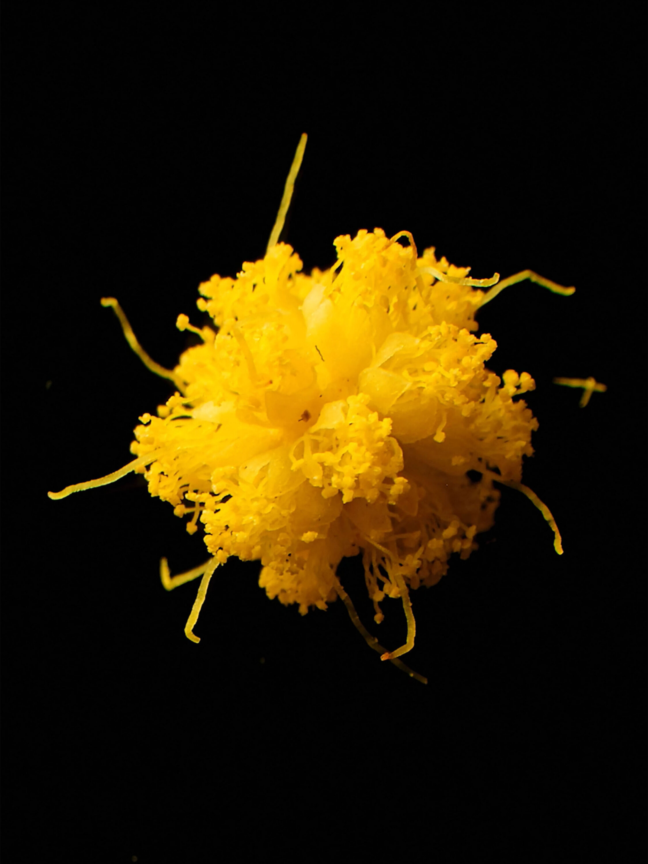 wrenagency_lukeevans_ffernwinter26_12