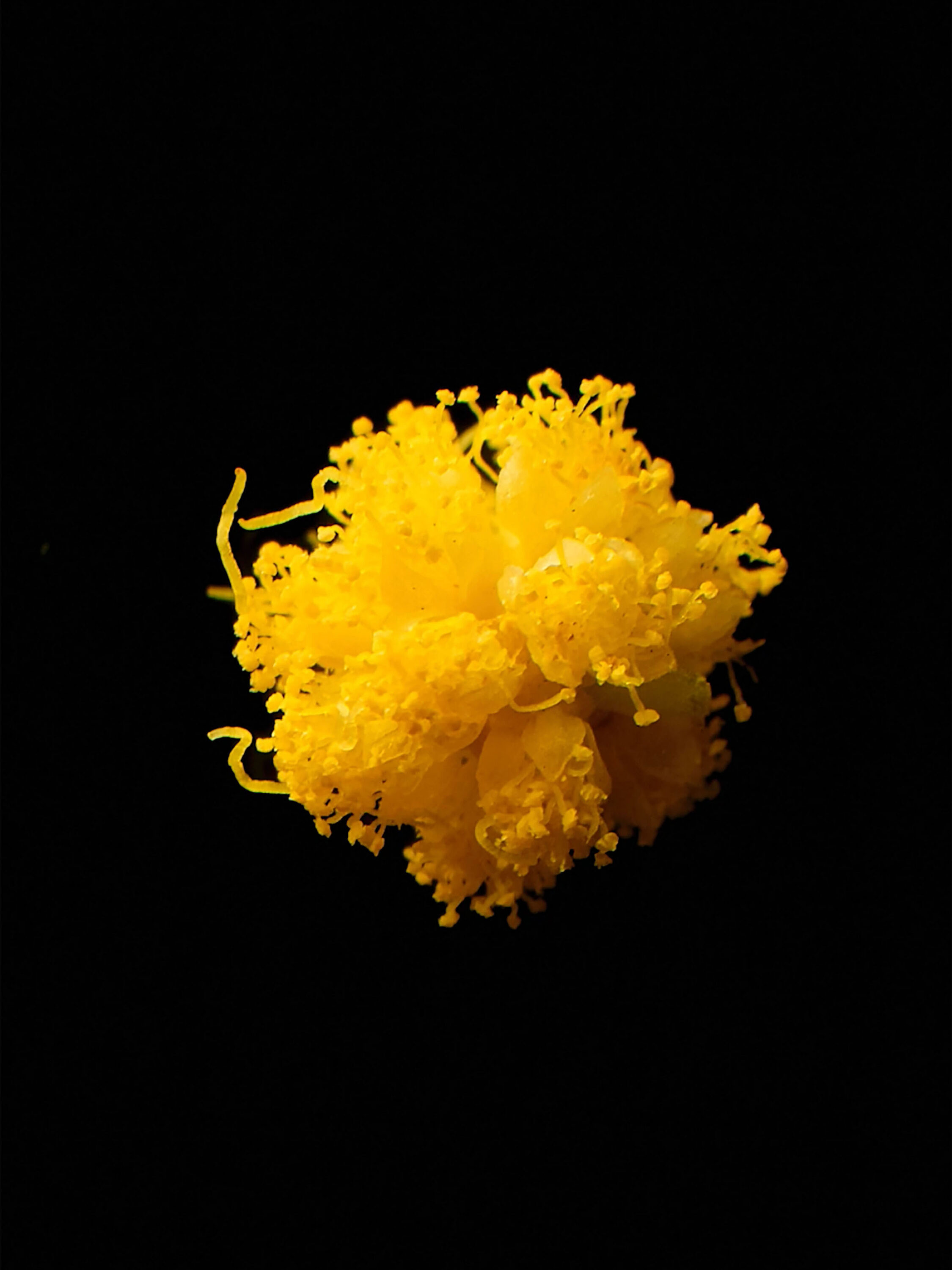 wrenagency_lukeevans_ffernwinter26_13