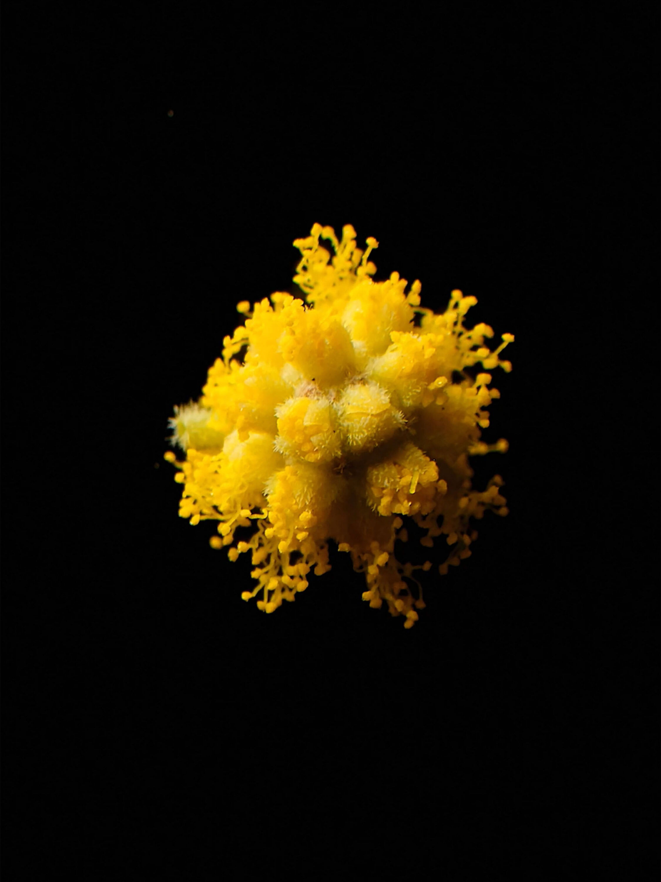 wrenagency_lukeevans_ffernwinter26_14