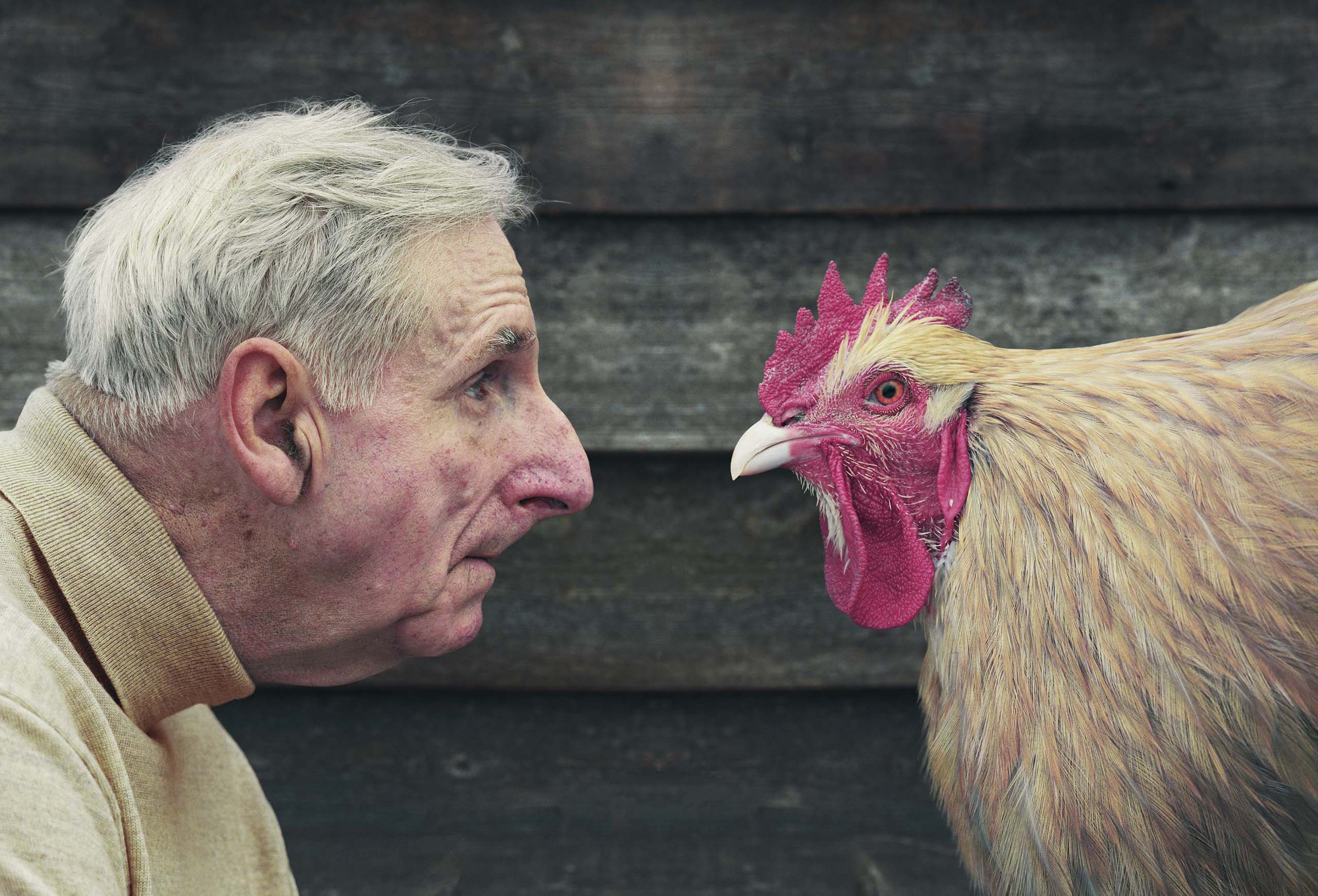 wrenagency_davidstewart_Hugh and chicken in profile_title