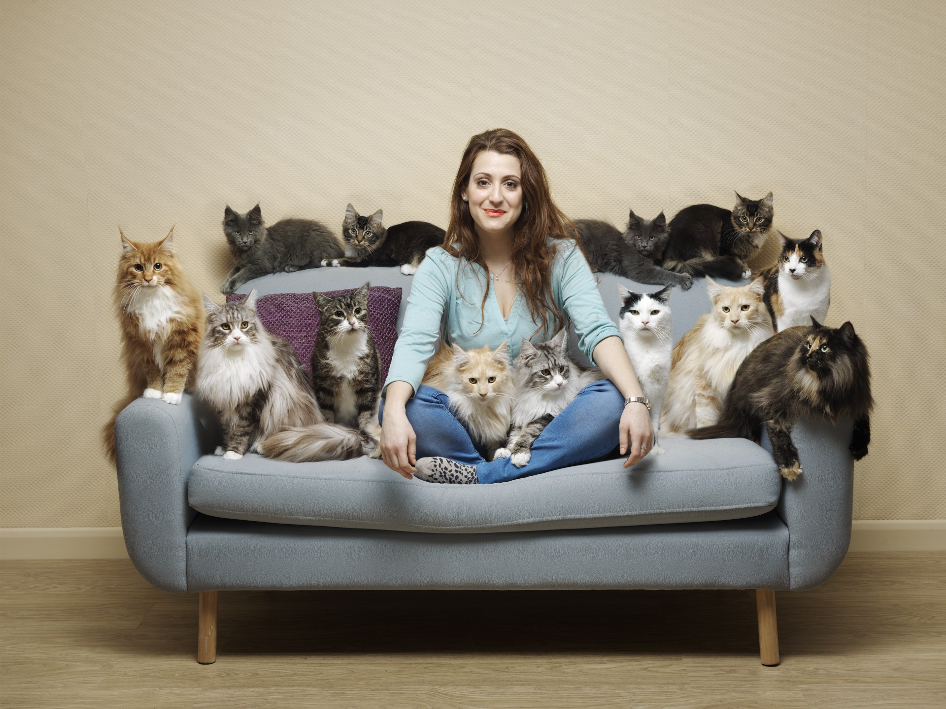 wrenagency_davidstewart_catfamily