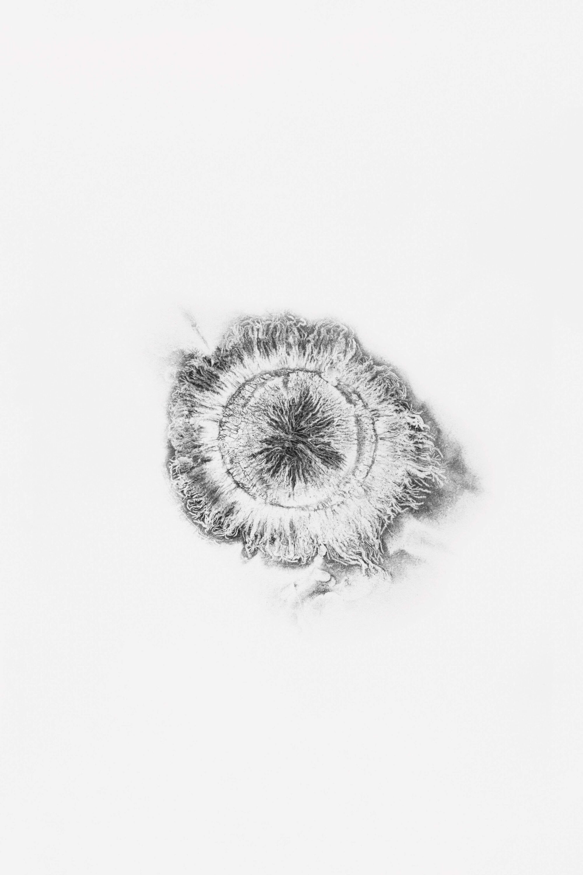 wrenagency_lukeevans_XERO-08