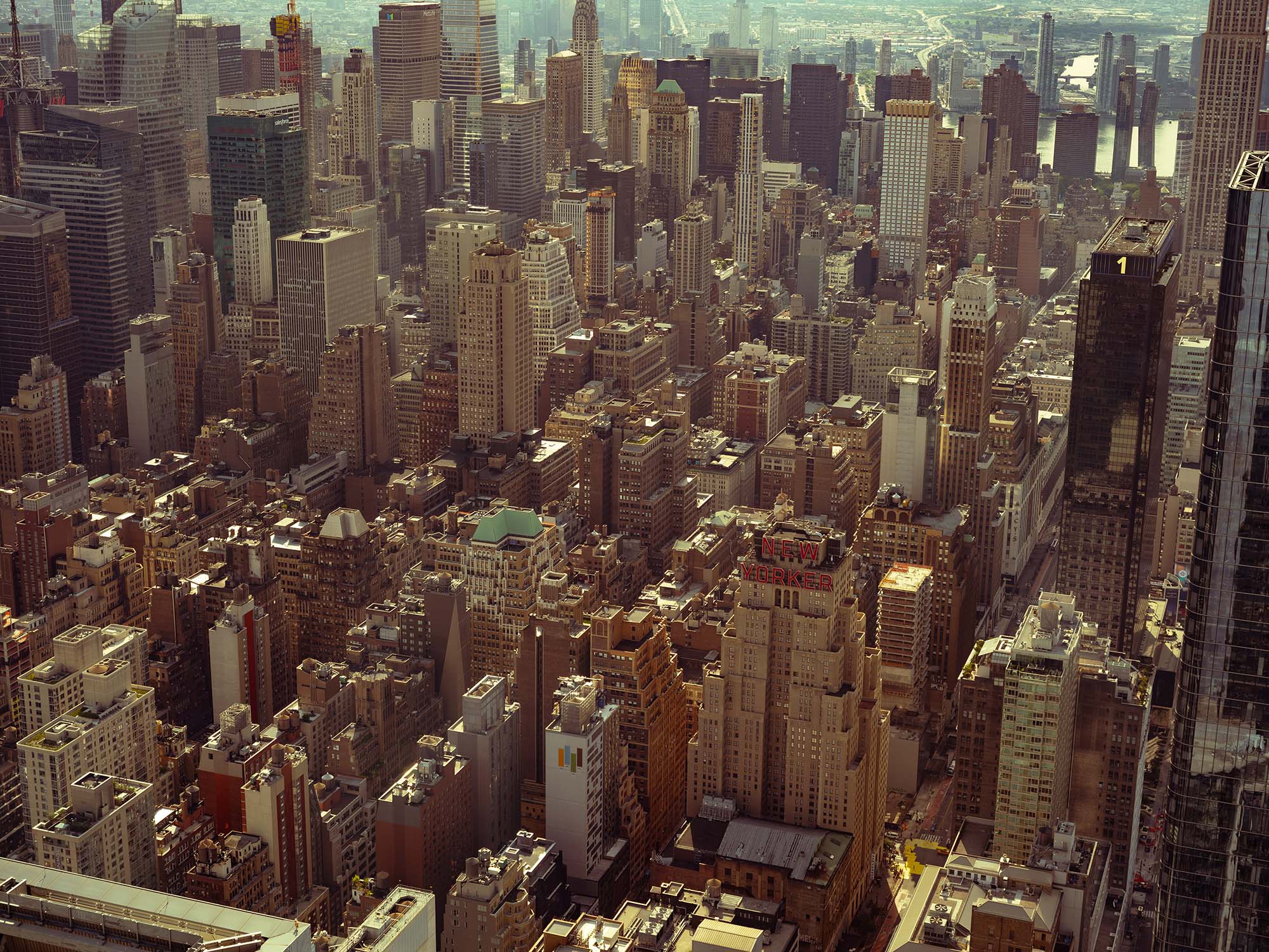 wrenagency_nickmeek_newyork_DSF6435 copy