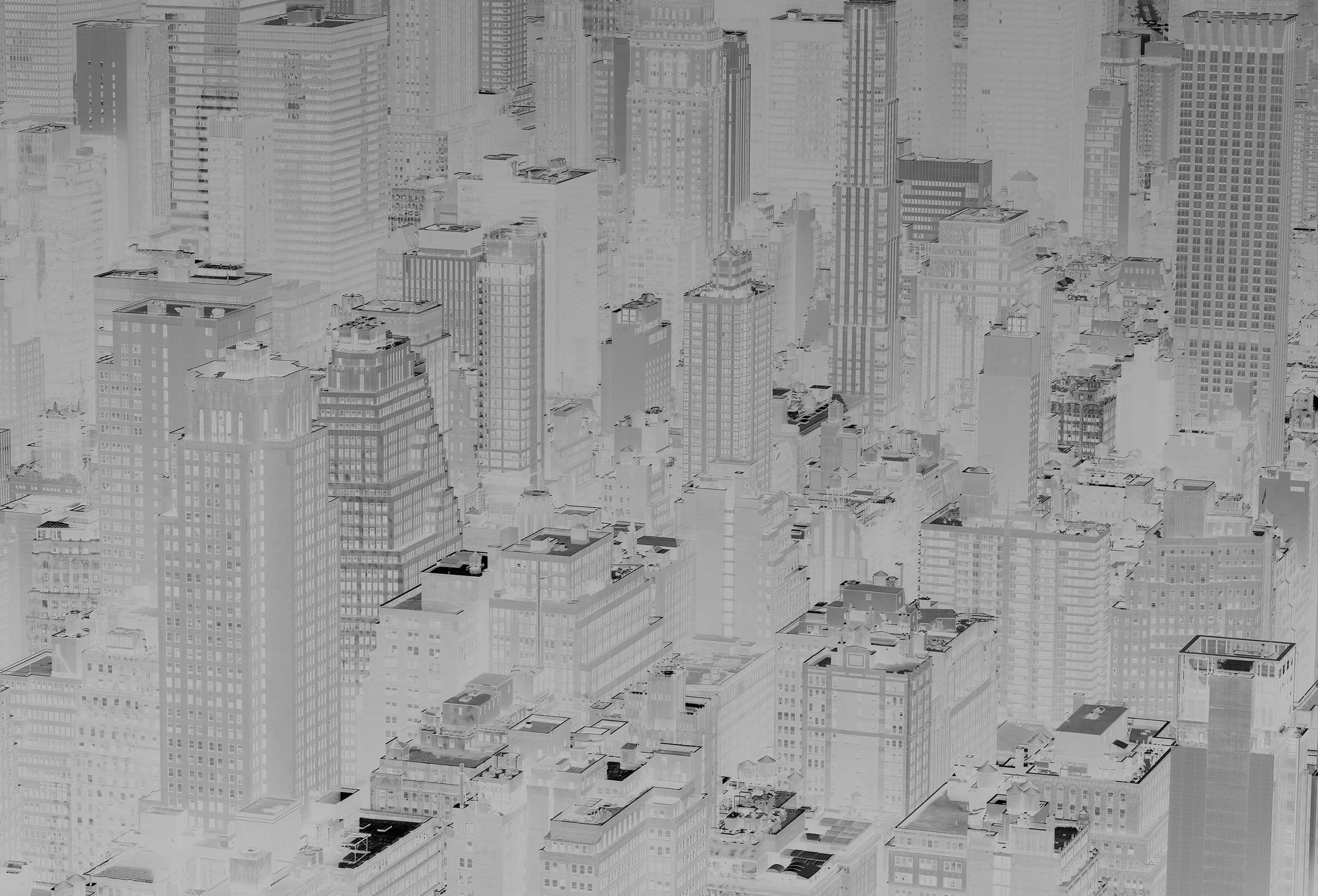 wrenagency_nickmeek_New York Times 5_titleimage