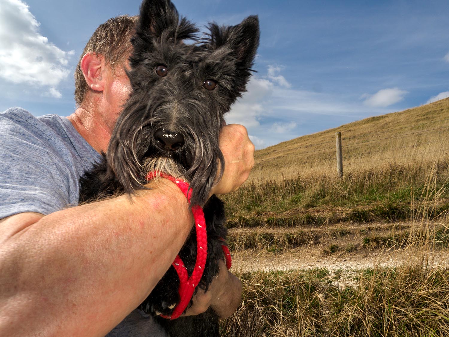 Dougie_Wallace_Sky_Dog