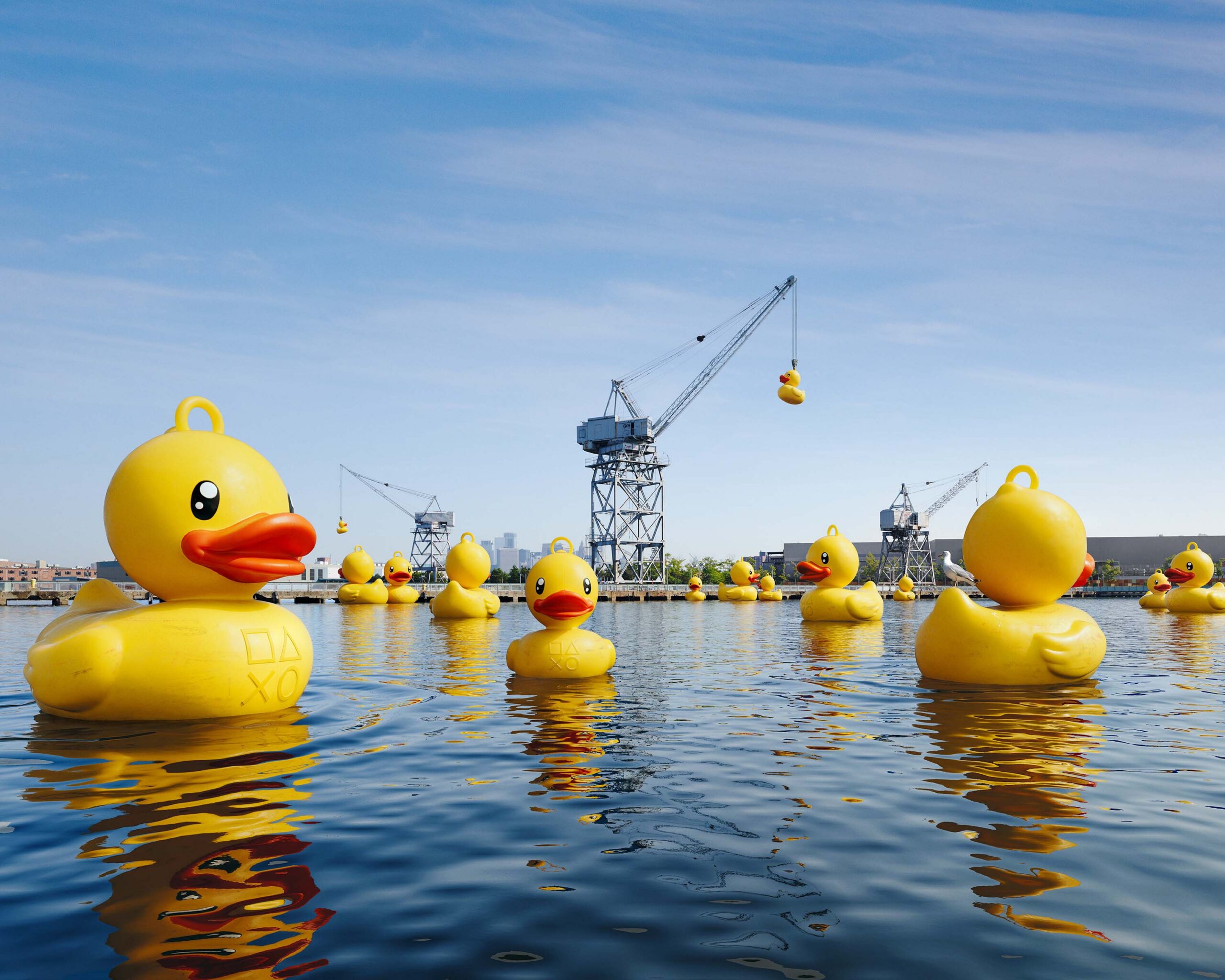 WREN-Nick_Meek-24-120_MEEK_Playstation_CGI_07_Ducks_COMP17_AB_H-FinalArt copy 2