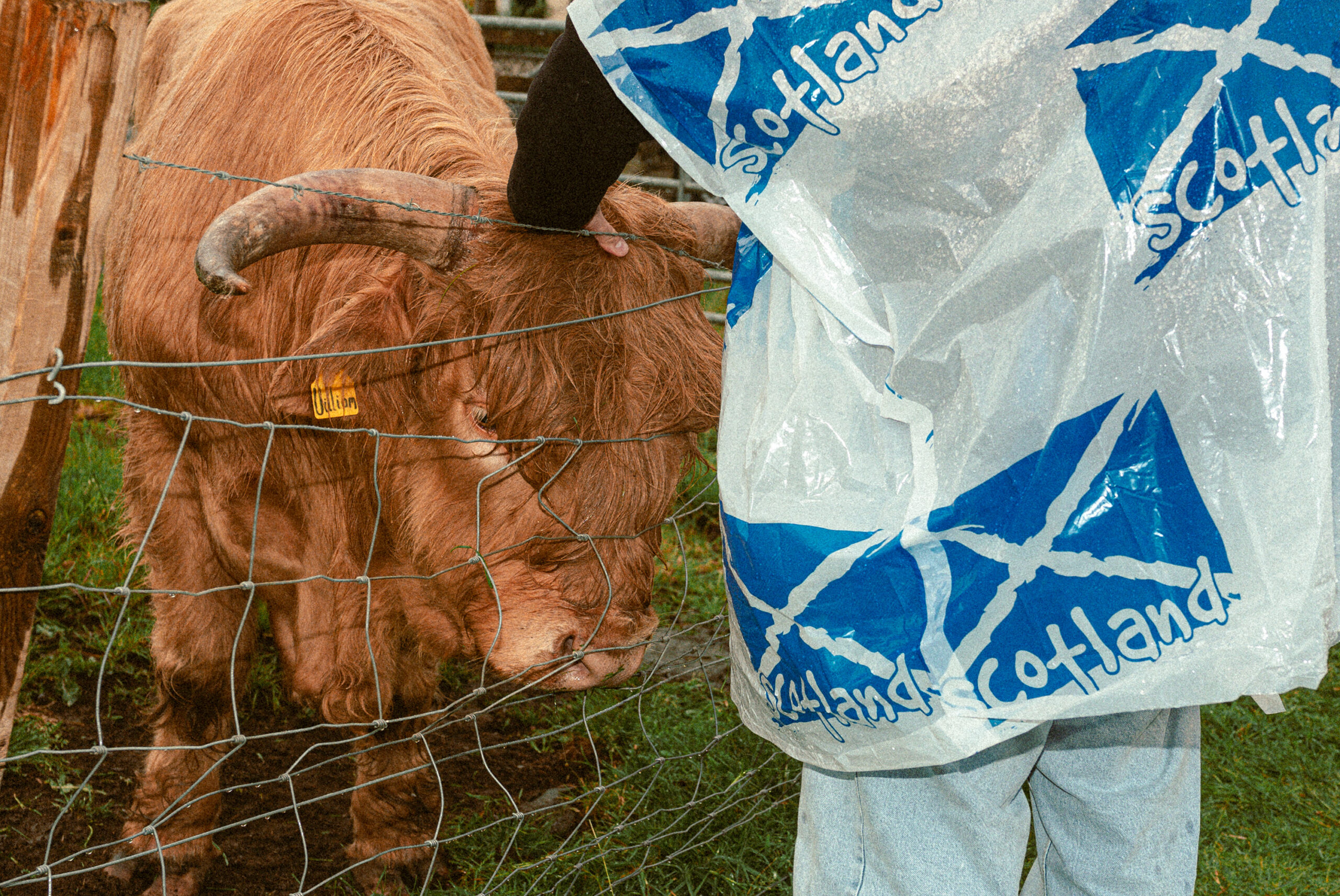 WREN_Dougie_Wallace_Scotland_Heinz_3