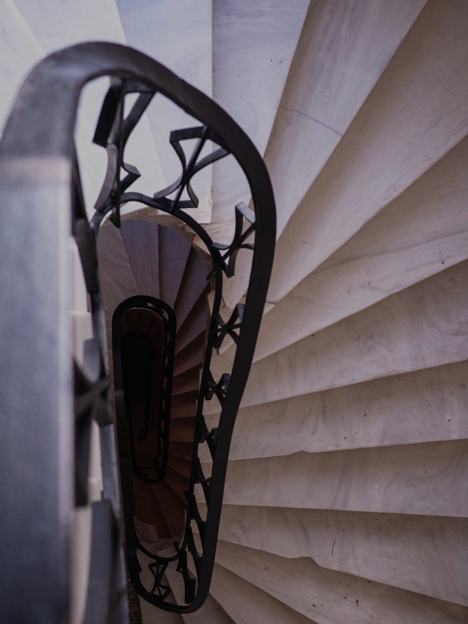 WREN_Jone Reed_Athens_8