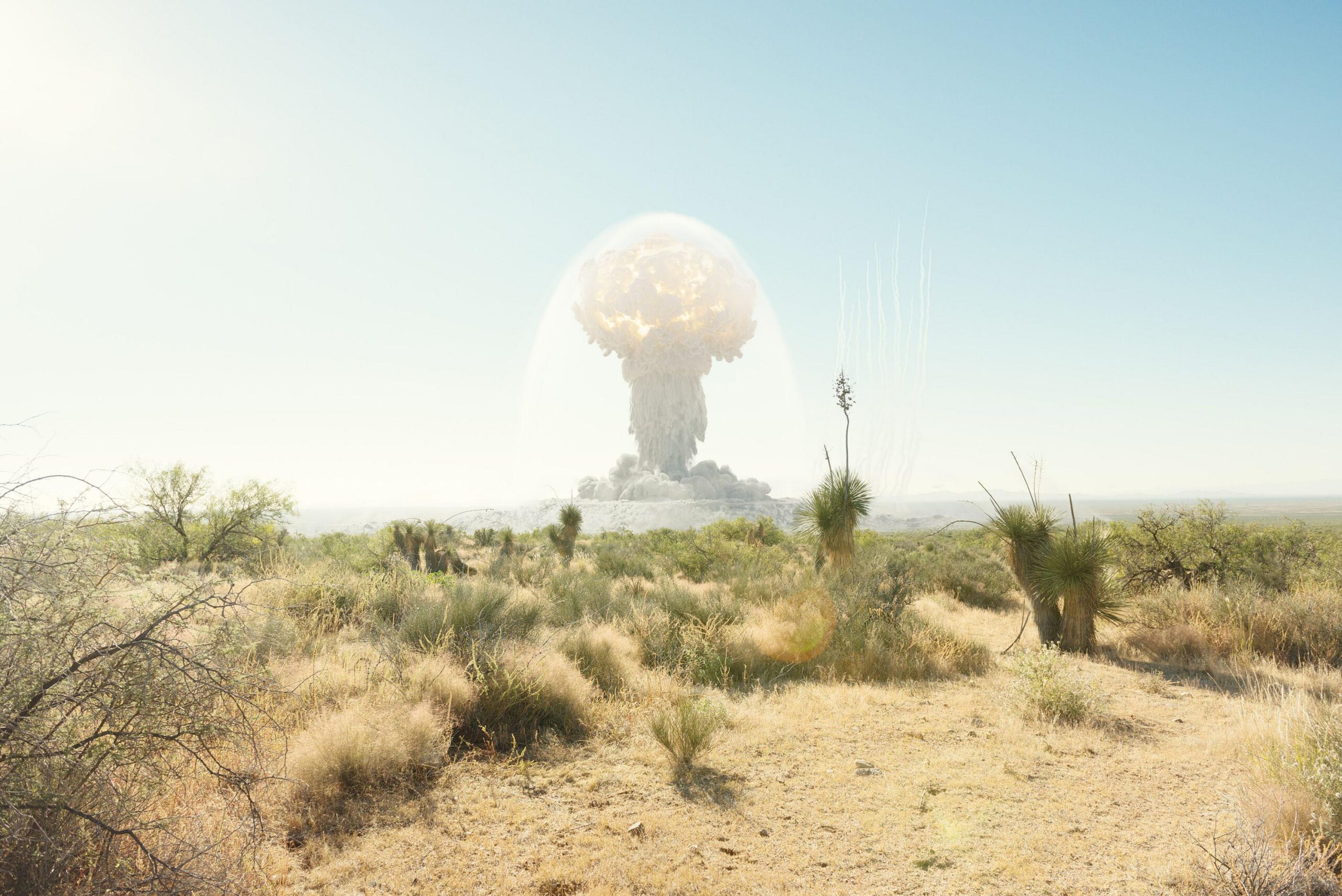 wrenagency_Nick Meek_Las_crusas_1