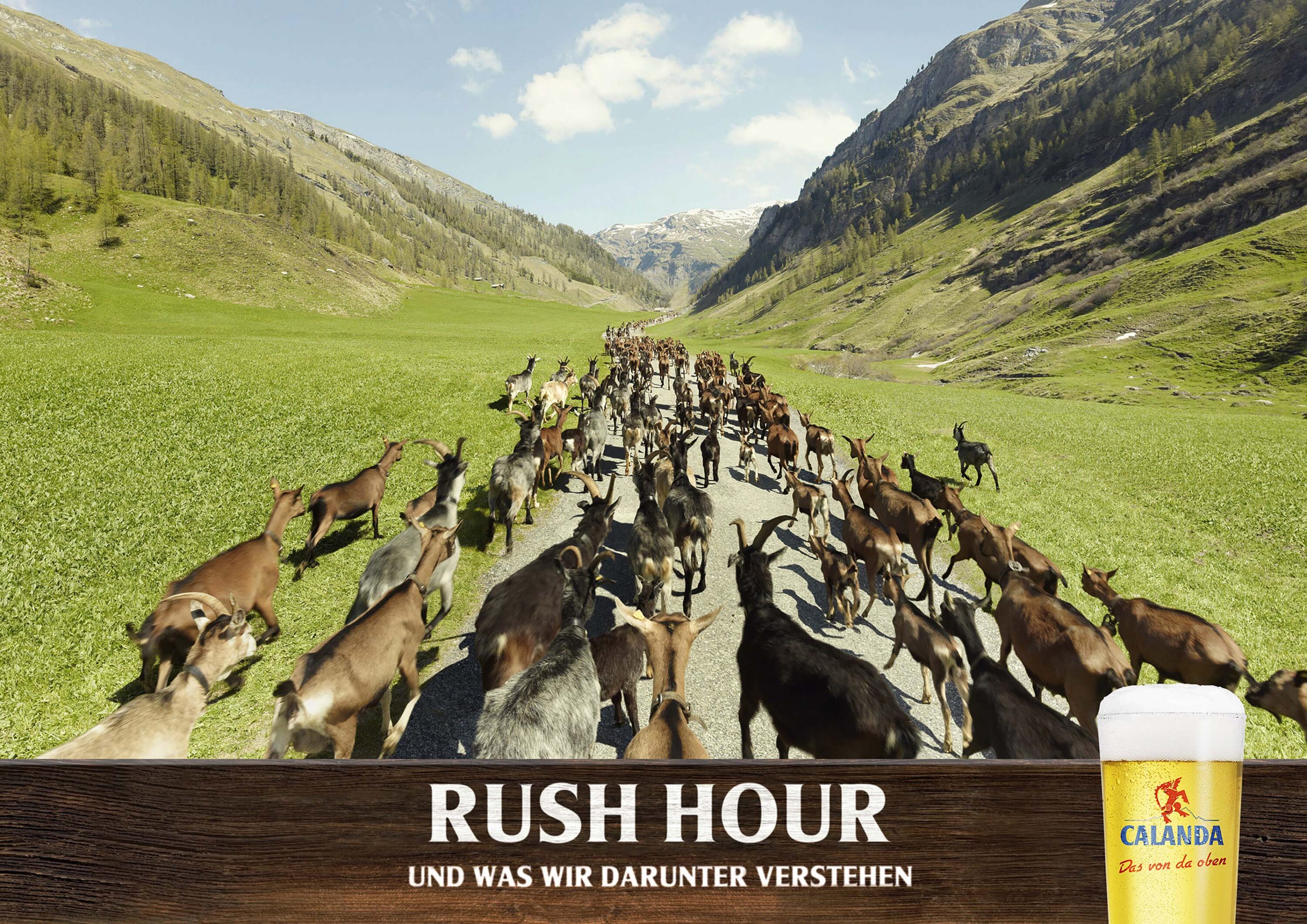 wrenagency_nick meek_Calanda_Dachk_A3 copy