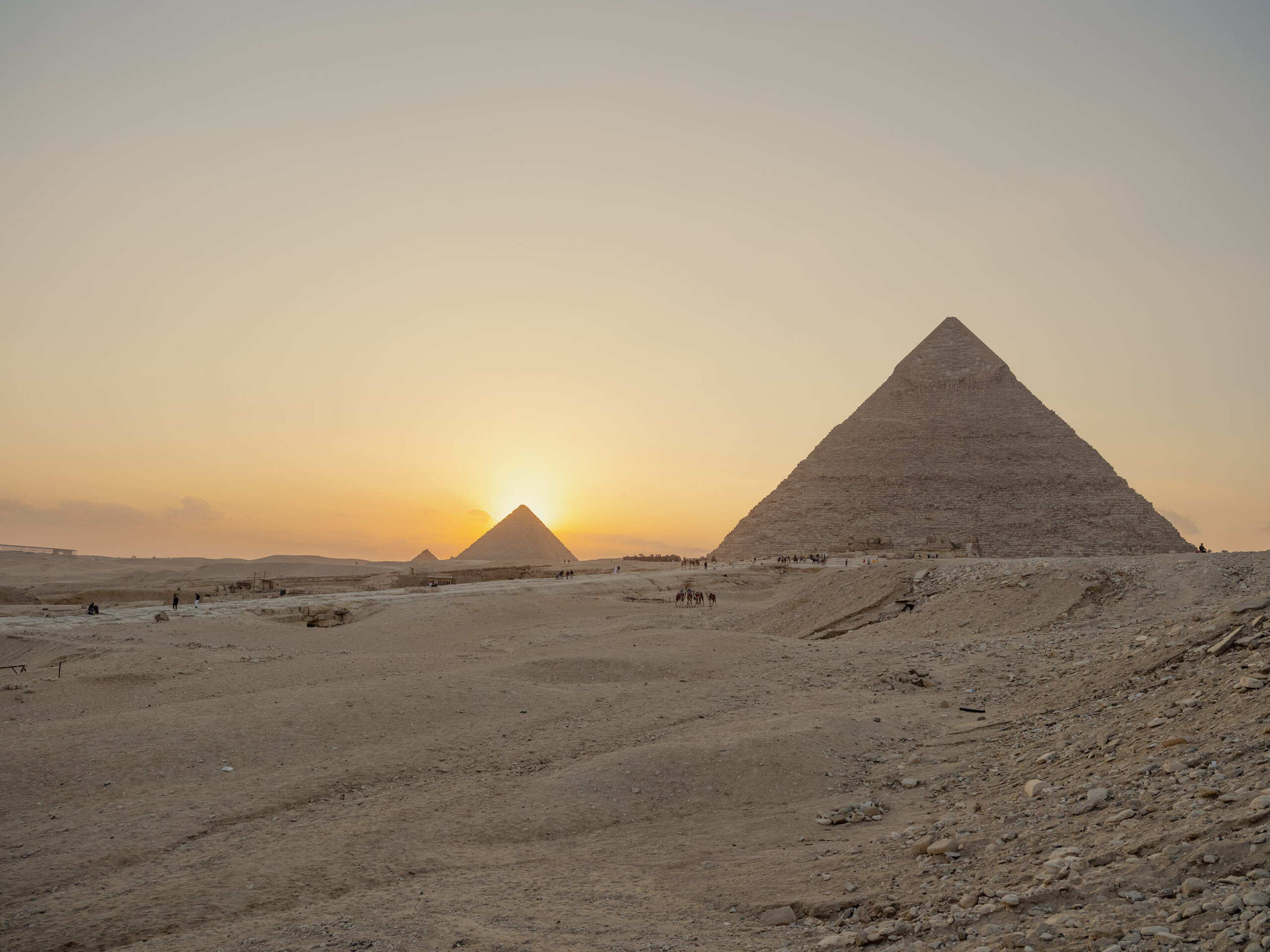 Wren - Nick Meek_On_Giza_Plateau_3 copy