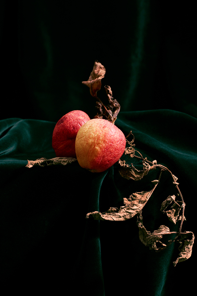 WrenAgency_FelicityMcCabe-NewStatesman_Ageing Fruit_091_sRGB_food_scaled